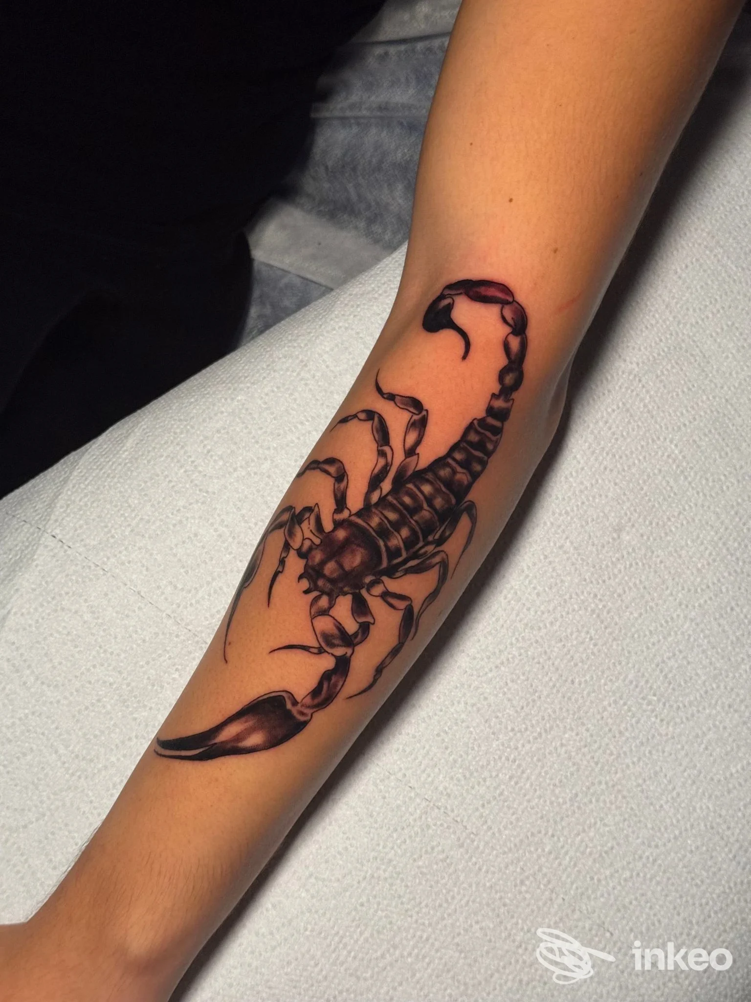 Tatuaggio scorpione realistico sull'avambraccio fotografato nello studio ROMANS TATTOO a Bari.