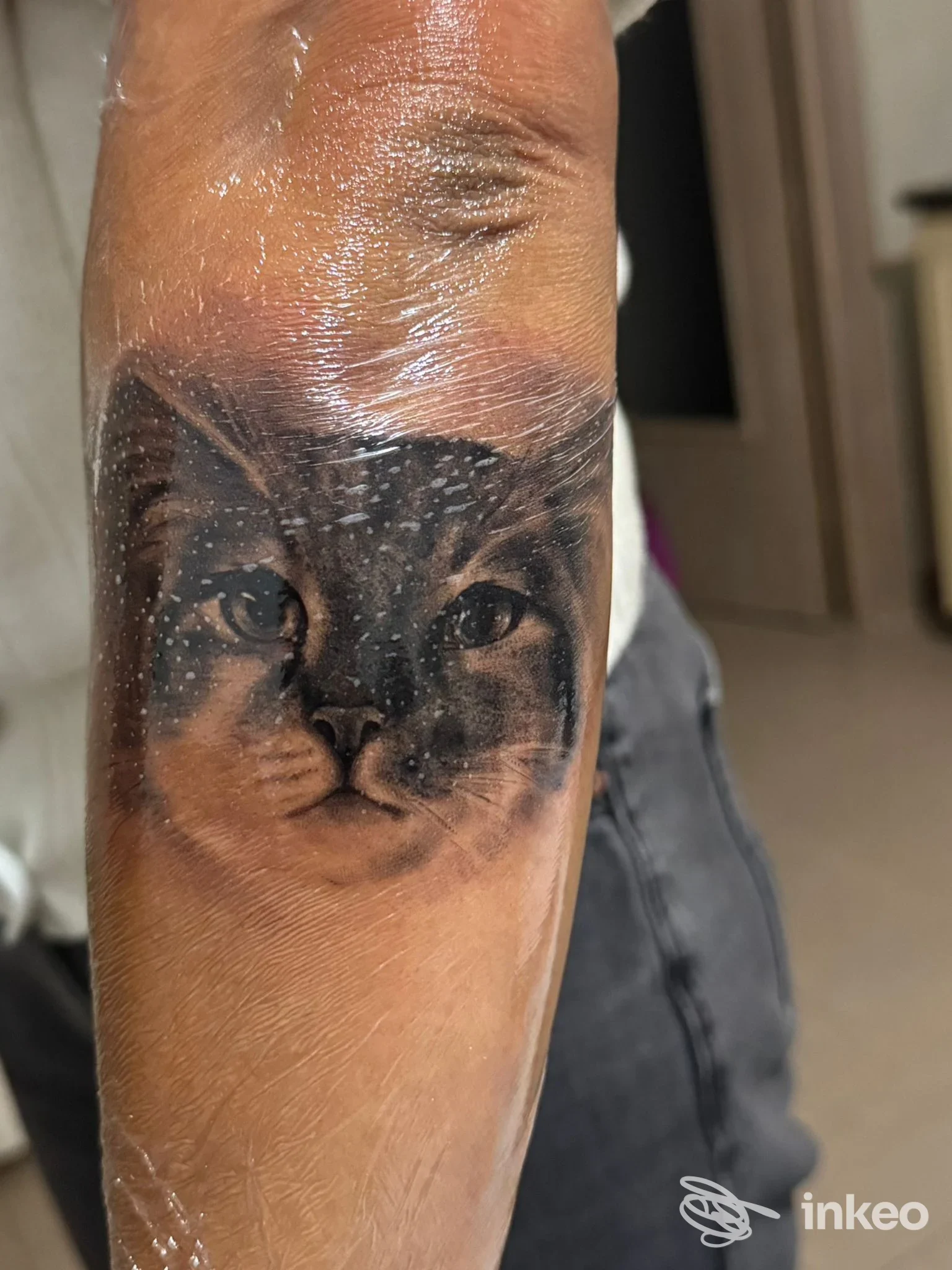 Tatuaggio realistico del volto di un gatto sull'avambraccio, foto di Steven Tattoo Artist a Mesagne.