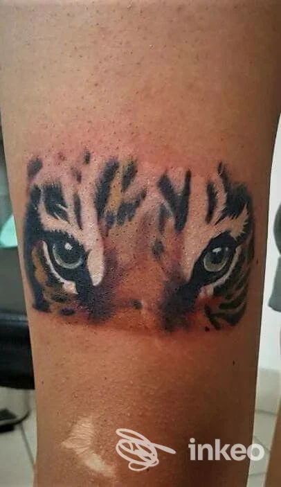 Primo piano di un tatuaggio occhi di tigre sull'avambraccio, Tesori d'Oriente Studio Tattoo & Piercing, Ceglie Messapica.