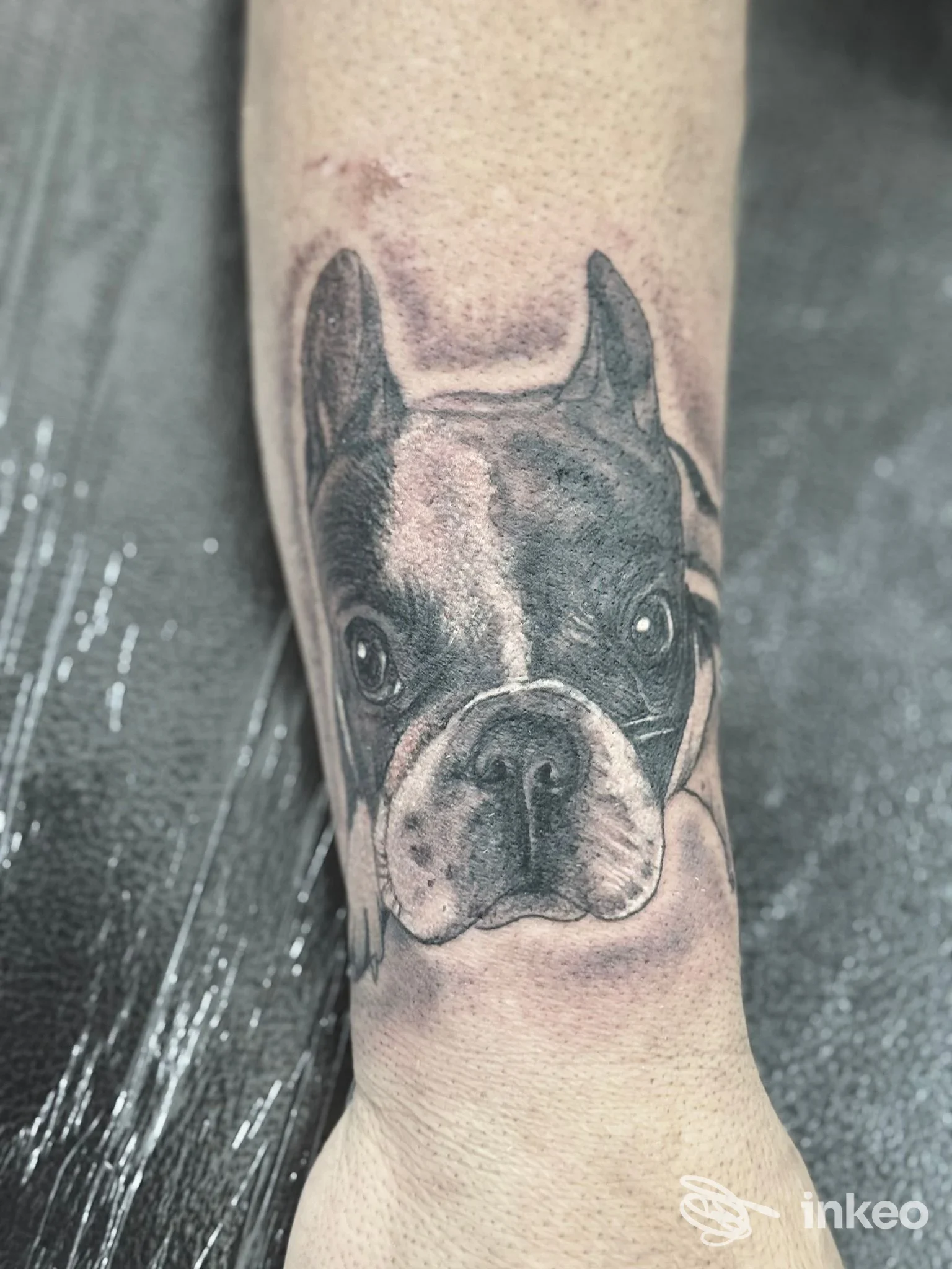 Ritratto realistico di un cane tatuato sull'avambraccio, lavoro eseguito da Tattoo studio da Stanislao a Lequile.