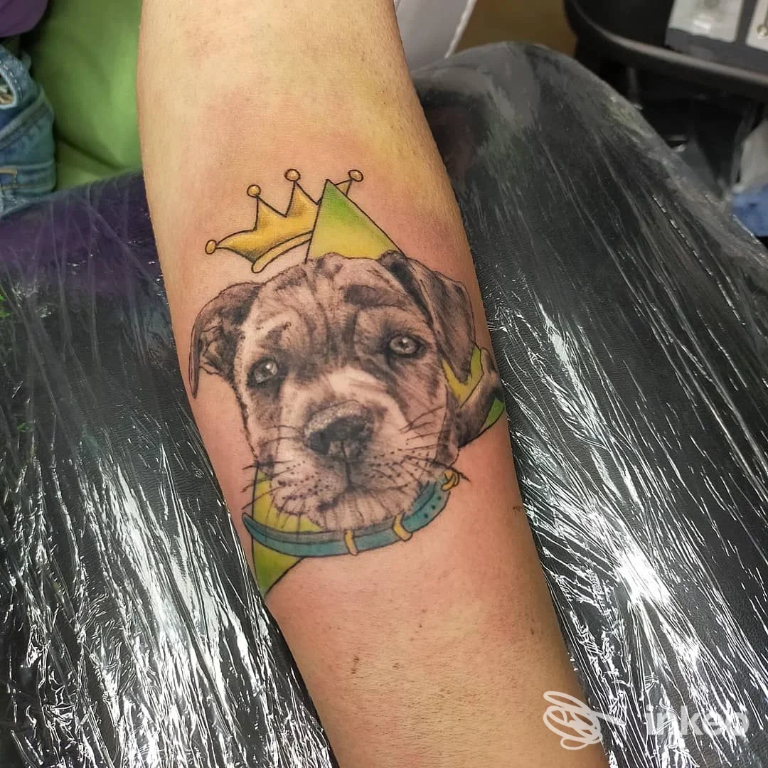 Tatuaggio raffigurante la testa di un cane con corona e collare sull'avambraccio, TATTOO GIS-ART STUDIO, Isili.
