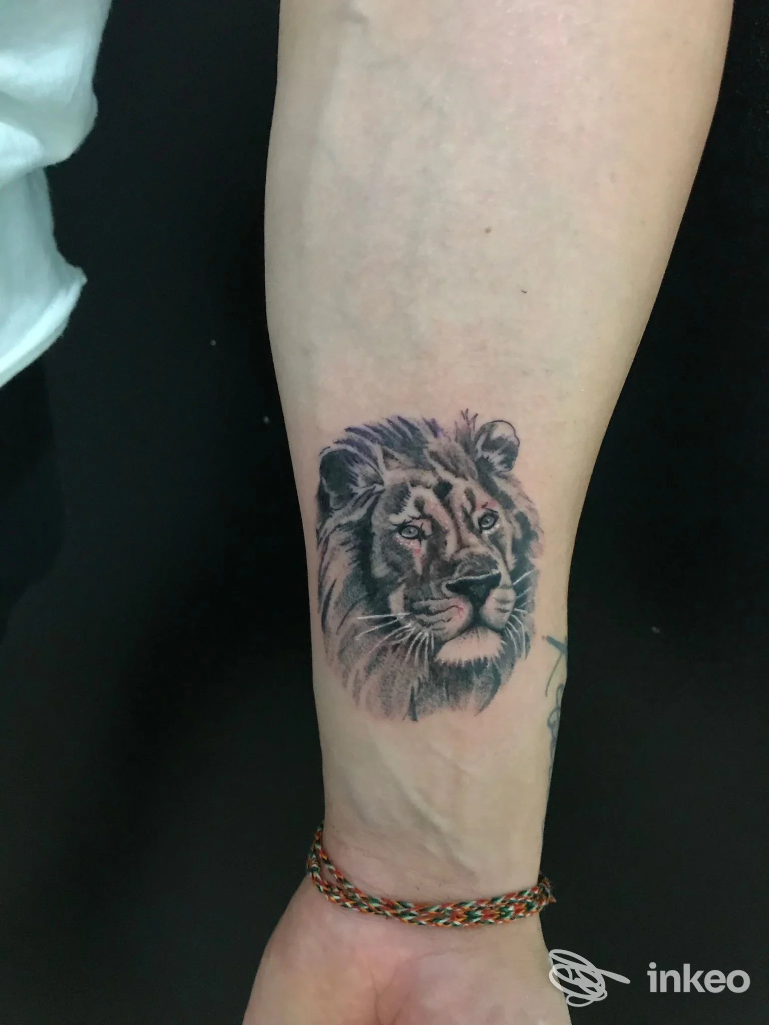 Tatuaggio realistico di una testa di leone sull'avambraccio, foto da DaVinci tattoo Studio ad Assemini.