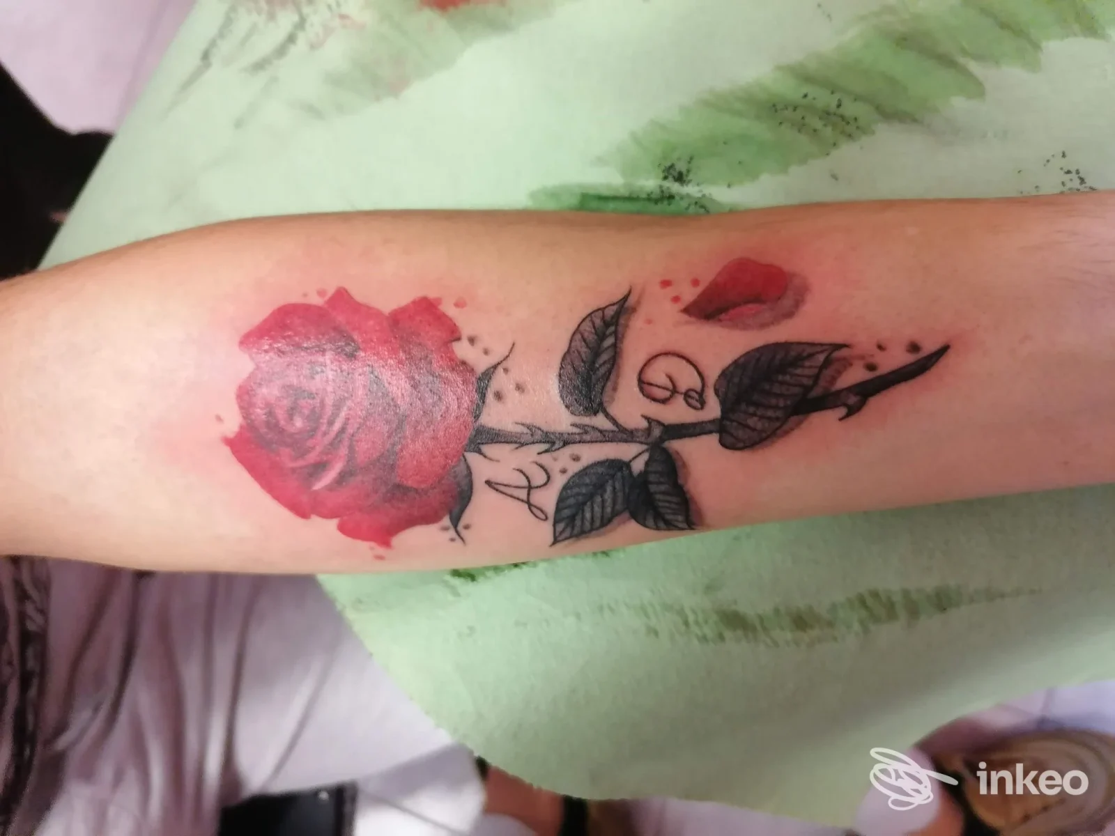 Tatuaggio di una rosa rossa con stelo e foglie scure sull'avambraccio, immagine fornita da Eternity 17 Tattoo Shop, Selargius.