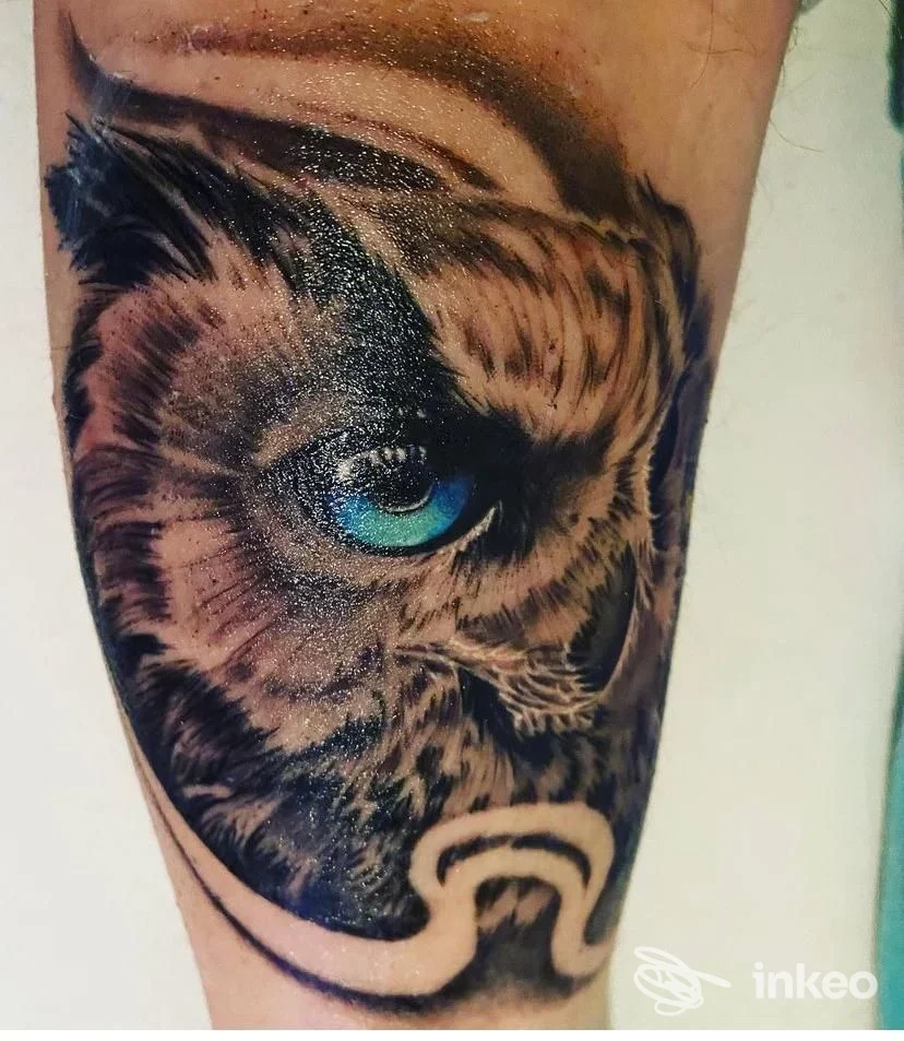 Tatuaggio realistico di un gufo con occhio turchese sull'avambraccio. Nevermind Tattoo Alghero, Alghero.