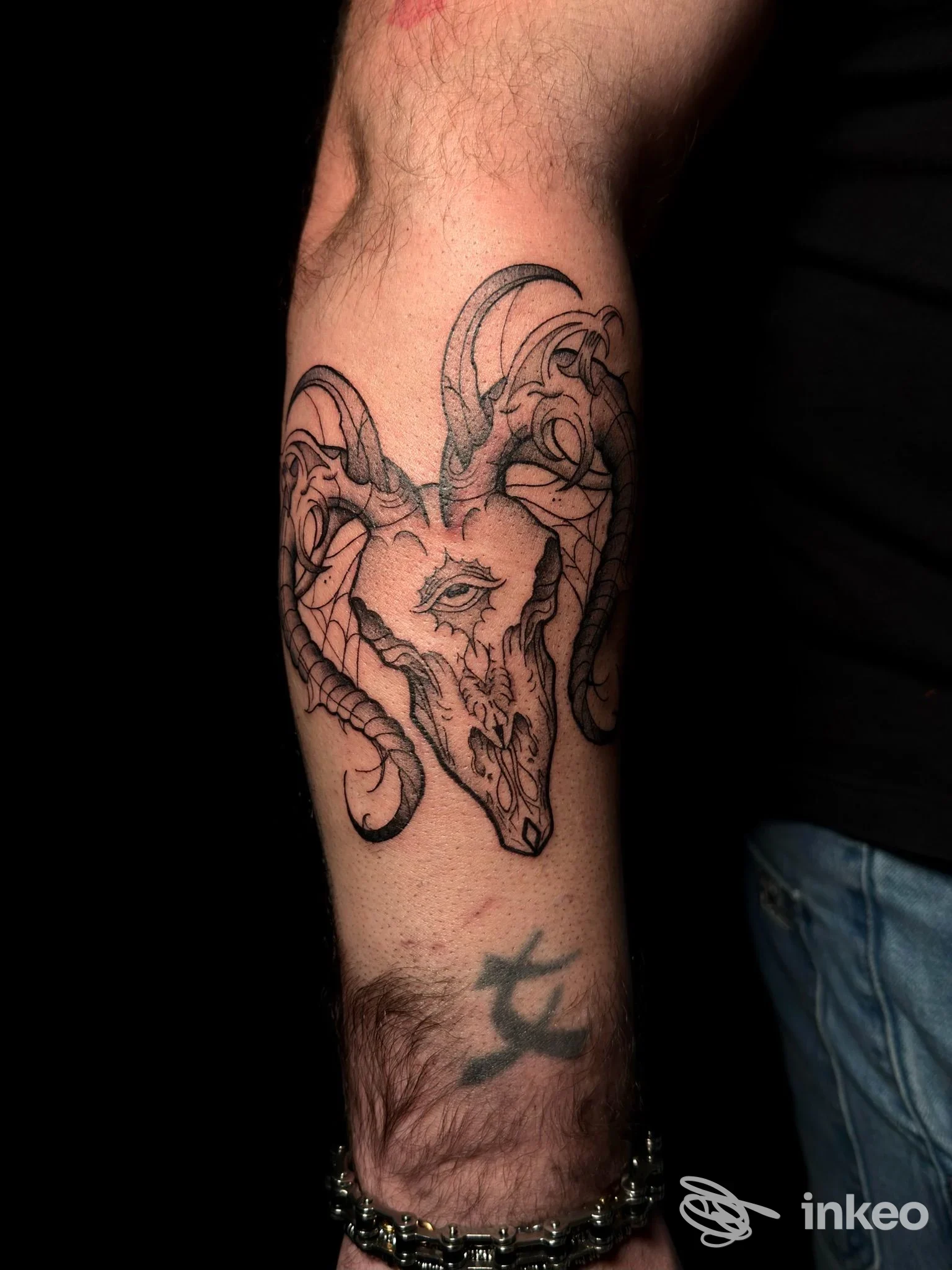 Tatuaggio a linework con cranio di ariete sull'avambraccio, realizzato da 800A tattoo&piercing a Palermo.