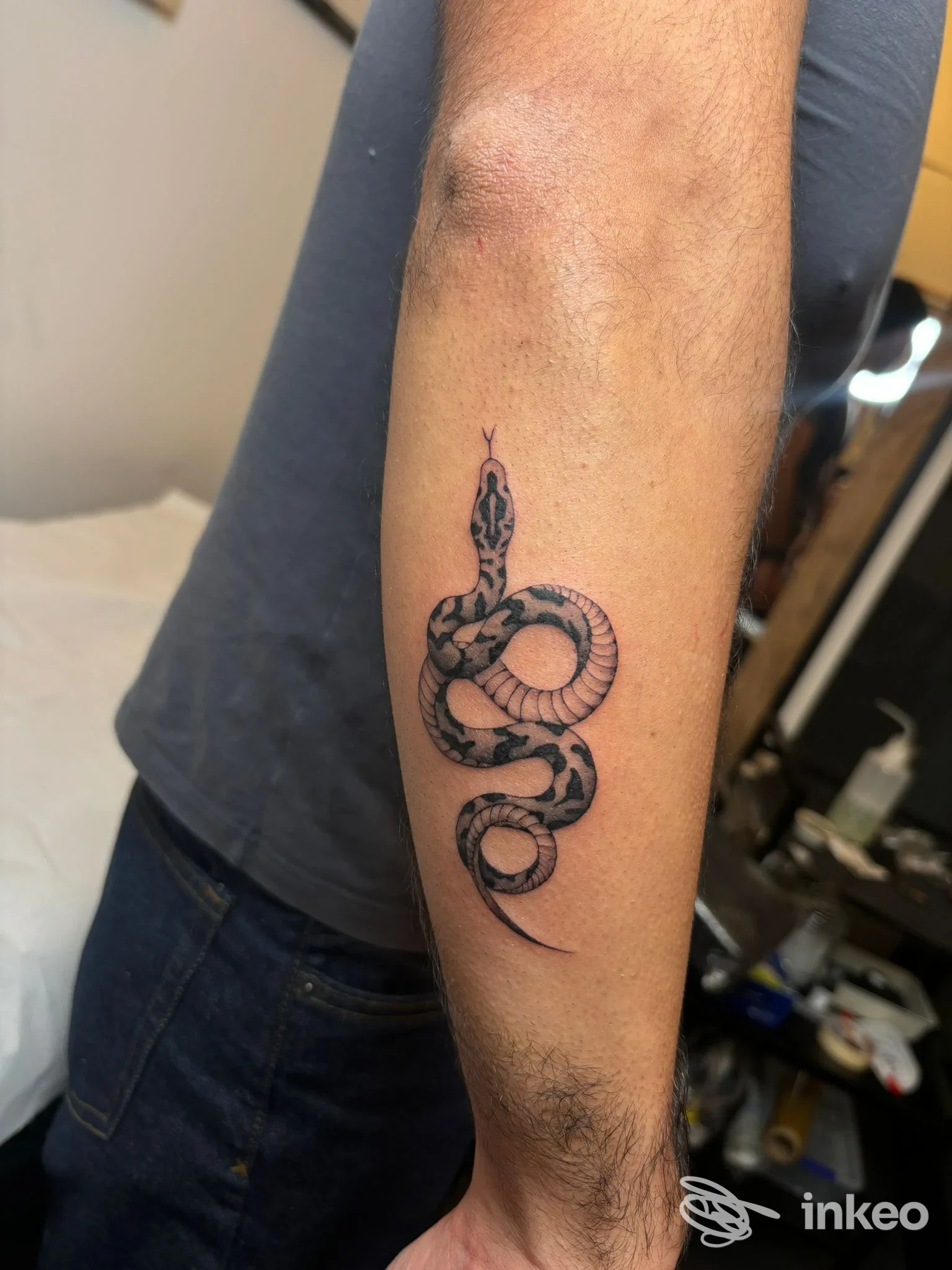 Primo piano dell'avambraccio con tatuaggio a serpente in nero e grigio, foto scattata nello studio Bānum Tattoo Studio, Palermo.