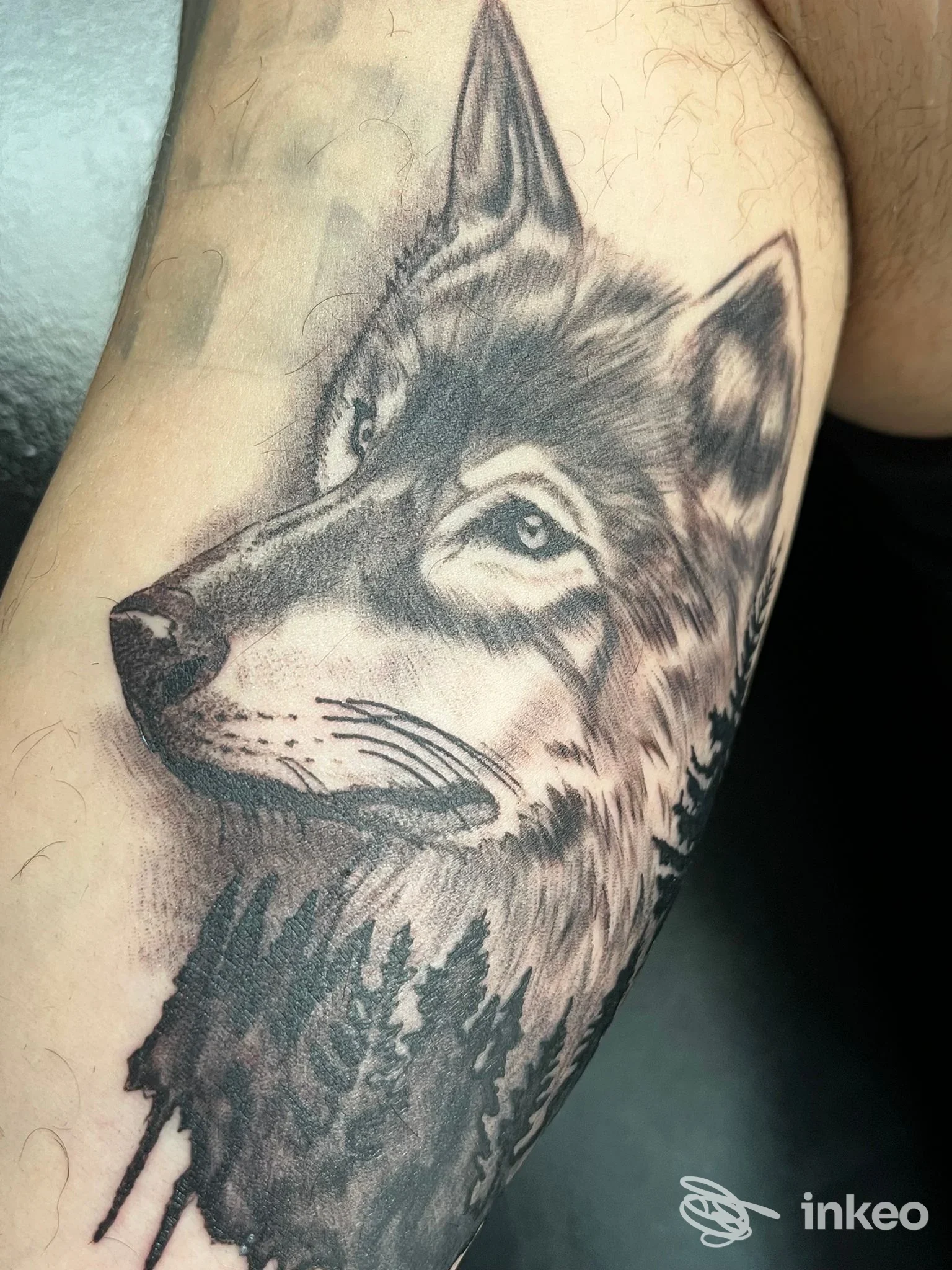 Tatuaggio realistico in bianco e nero di una testa di lupo con pini su avambraccio, scattato per Basilisk Tattoo Studio a Terrasini.