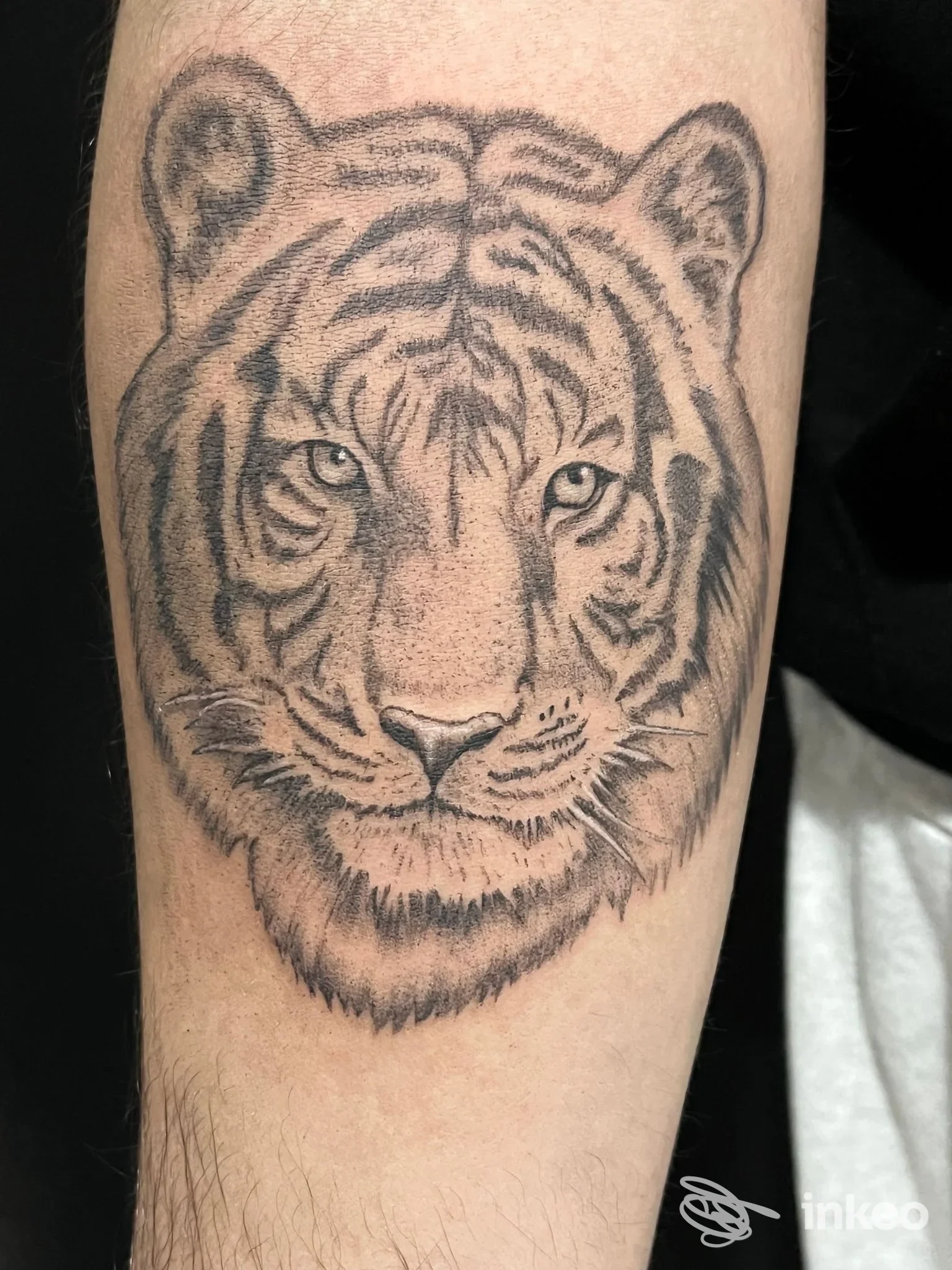 Primo piano di un tatuaggio a testa di tigre in black and grey sull'avambraccio, immagine per Basilisk Tattoo Studio a Terrasini.