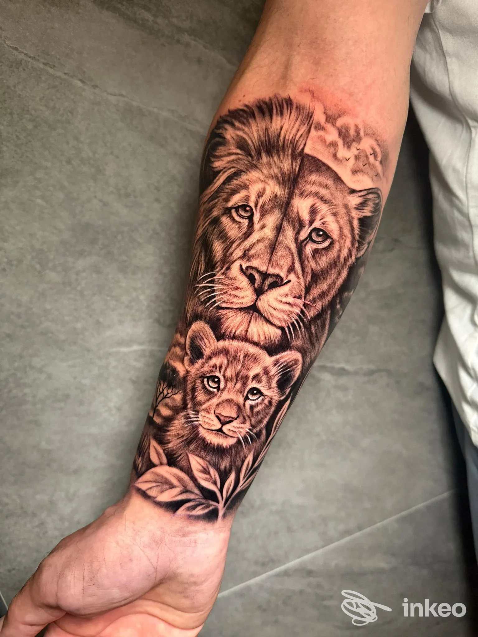 Tatuaggio realistico in bianco e nero di leone e cucciolo sull'avambraccio, foto fornita da Black Manta Tattoo, Palermo.