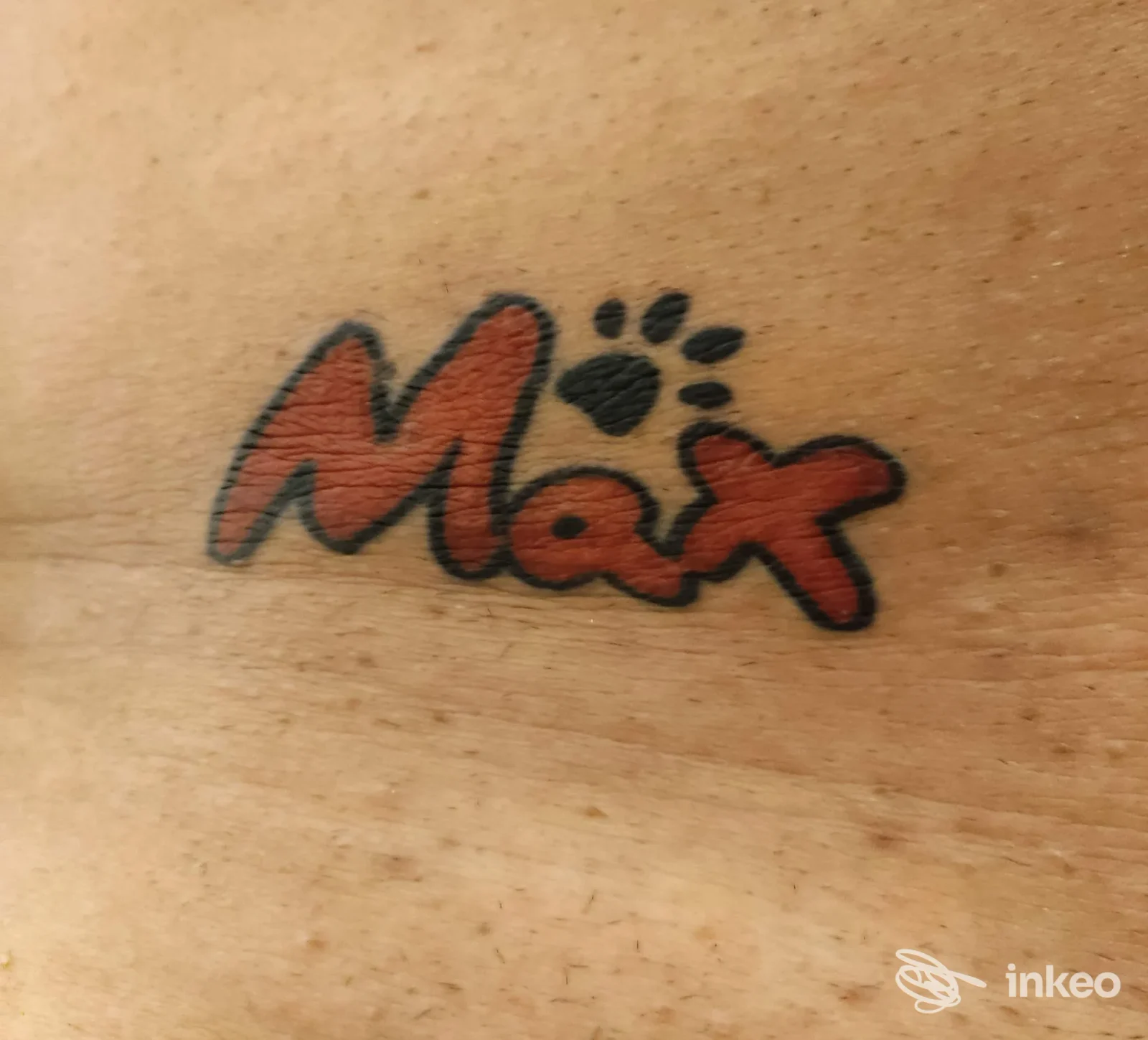 Tatuaggio con la scritta "Max" riempita di rosso e una zampa nera, foto fornita da Cheeta Tattoo, Saponara Marittima.