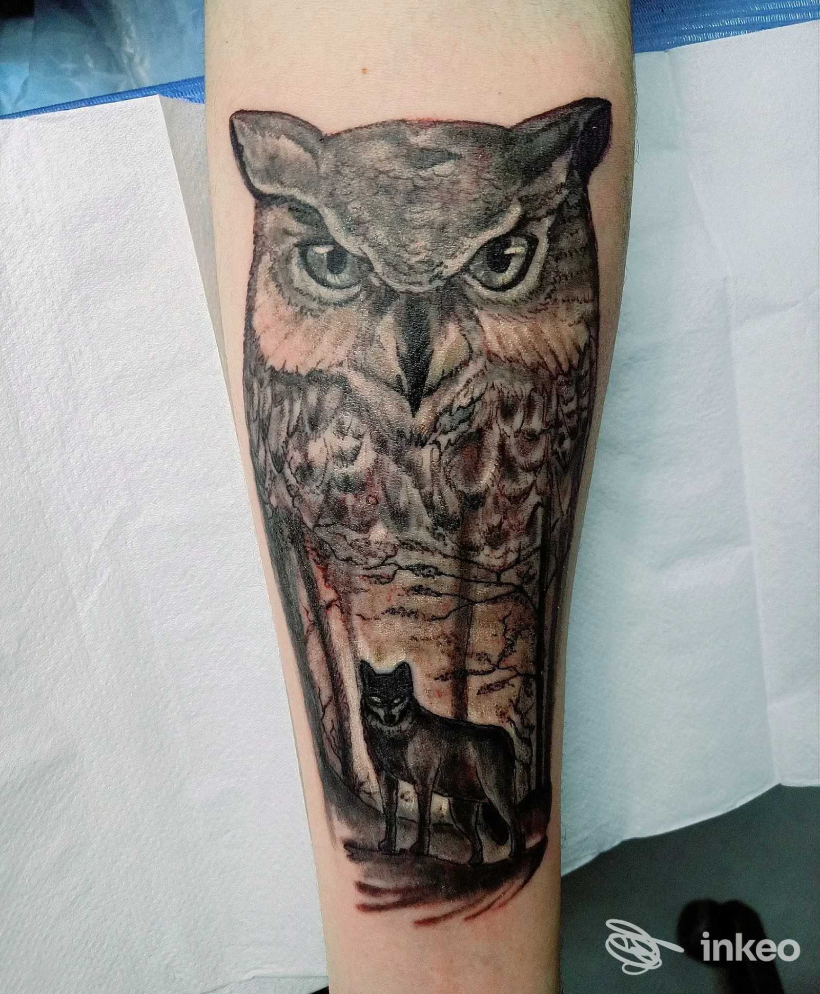 Tatuaggio gufo e lupo sull'avambraccio, Eddies tattoo studio, Siracusa.