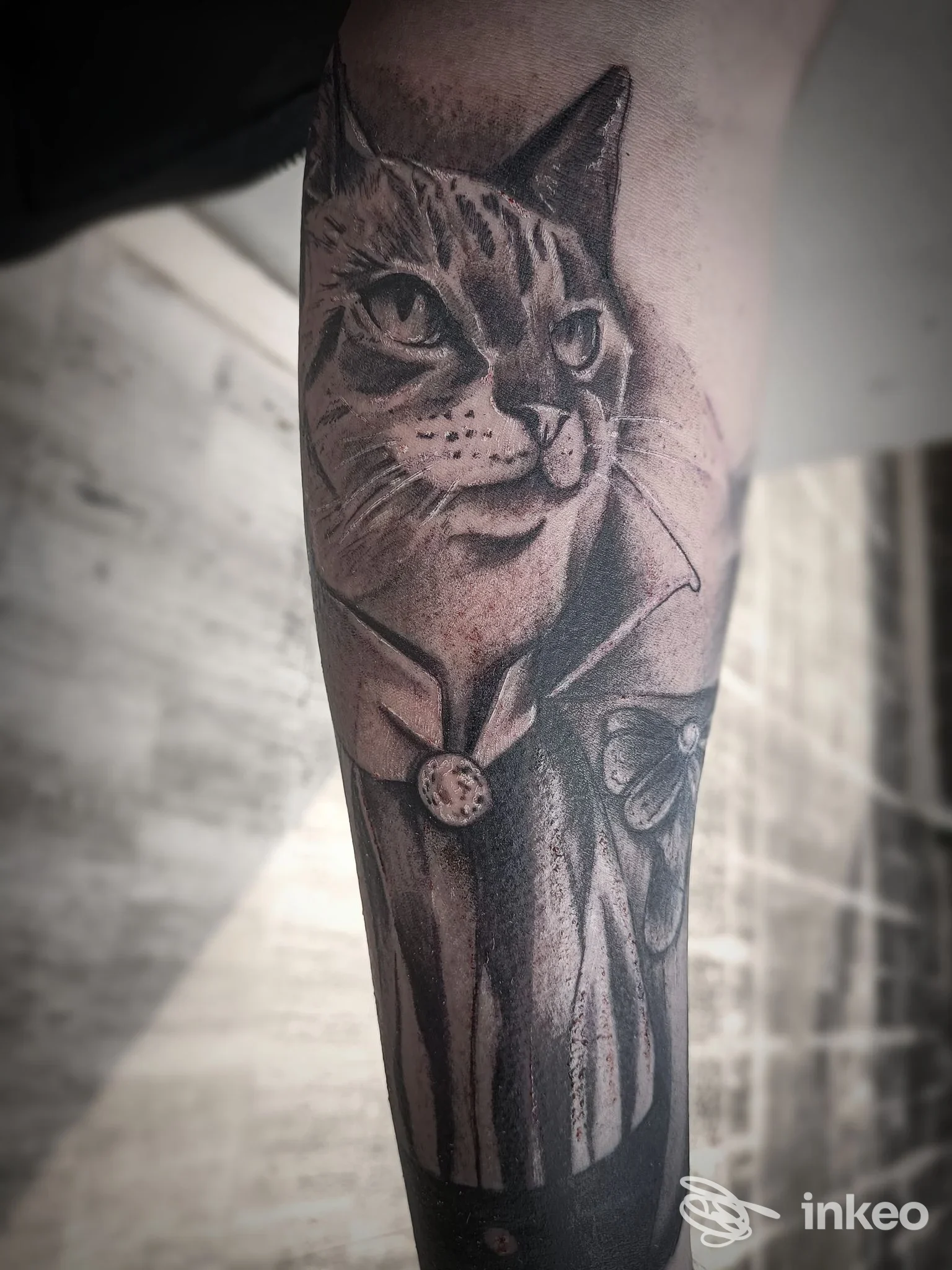 Tatuaggio in bianco e nero di un gatto in giacca sull'avambraccio, Horizon Tattoo Studio, Alcamo.