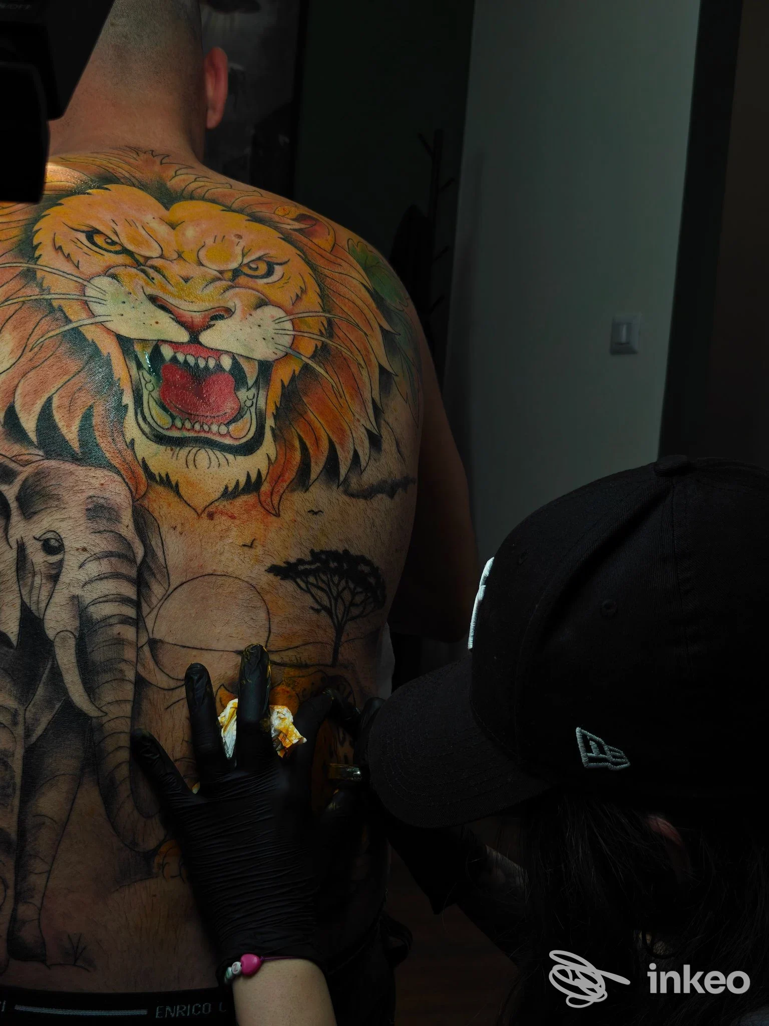 Schiena tatuata con grande leone ruggente e elefante, artista con guanti al lavoro nello studio.