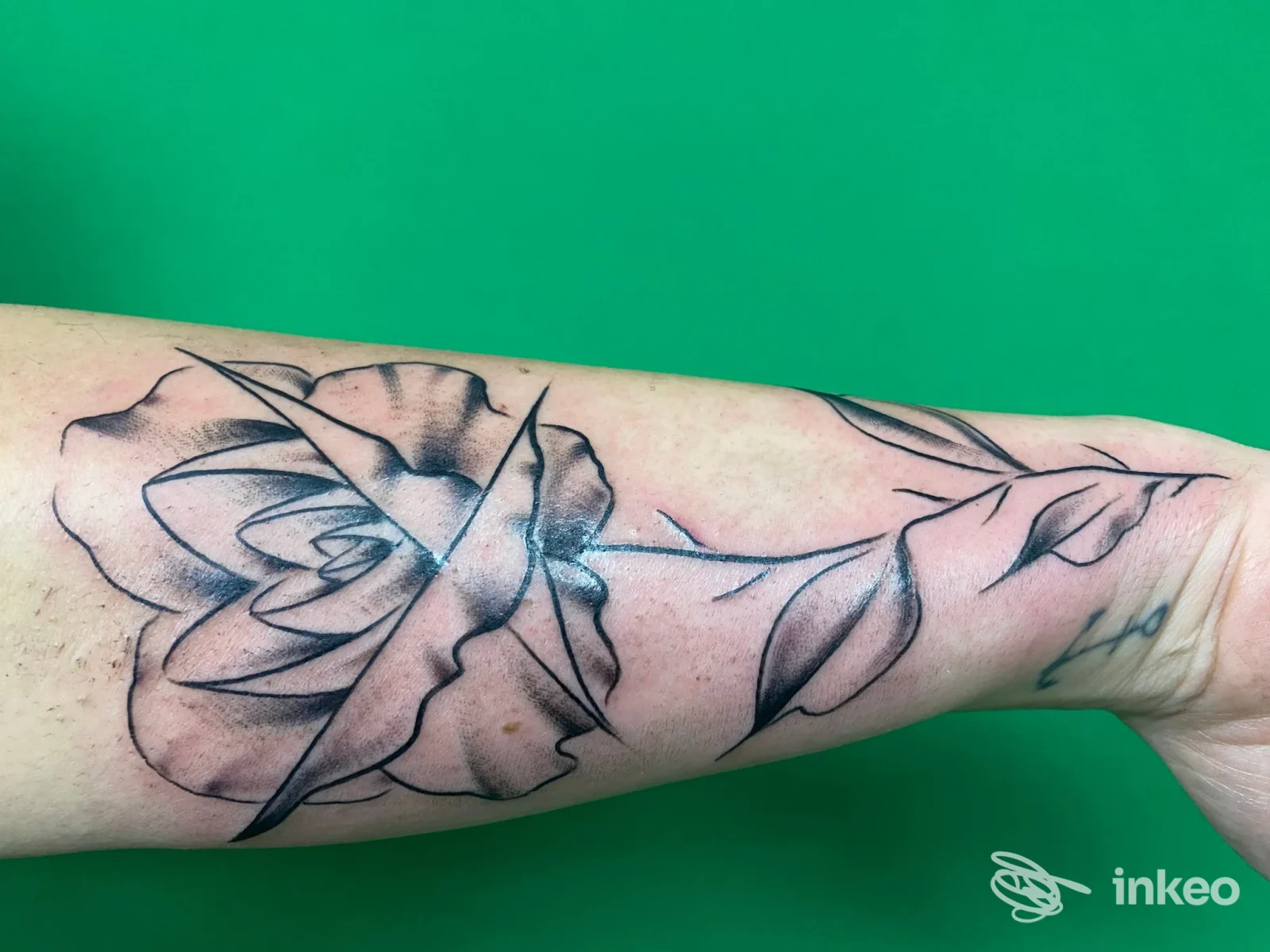 Tatuaggio a rosa in bianco e nero sull'avambraccio, La Sartoria tattoo & piercing, Ragusa