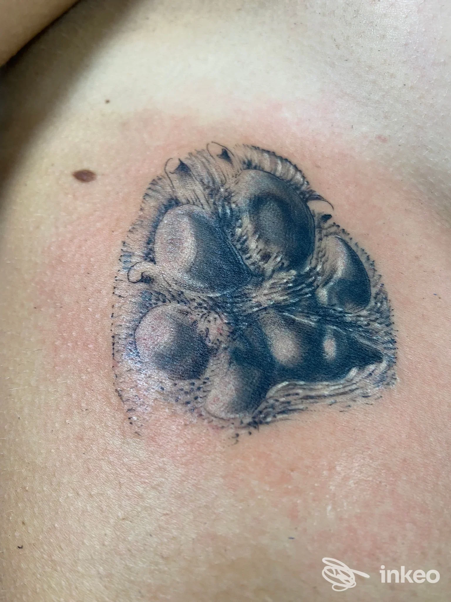 Tatuaggio impronta di zampa in bianco e nero sul petto, realizzato da La Sartoria tattoo & piercing a Ragusa.