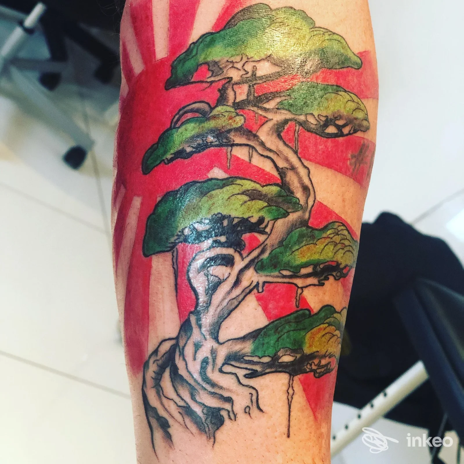Tatuaggio su avambraccio di un albero/bonsai con chiome verdi e raggi rossi, lavoro di MODICA TATTOO INK, Modica.