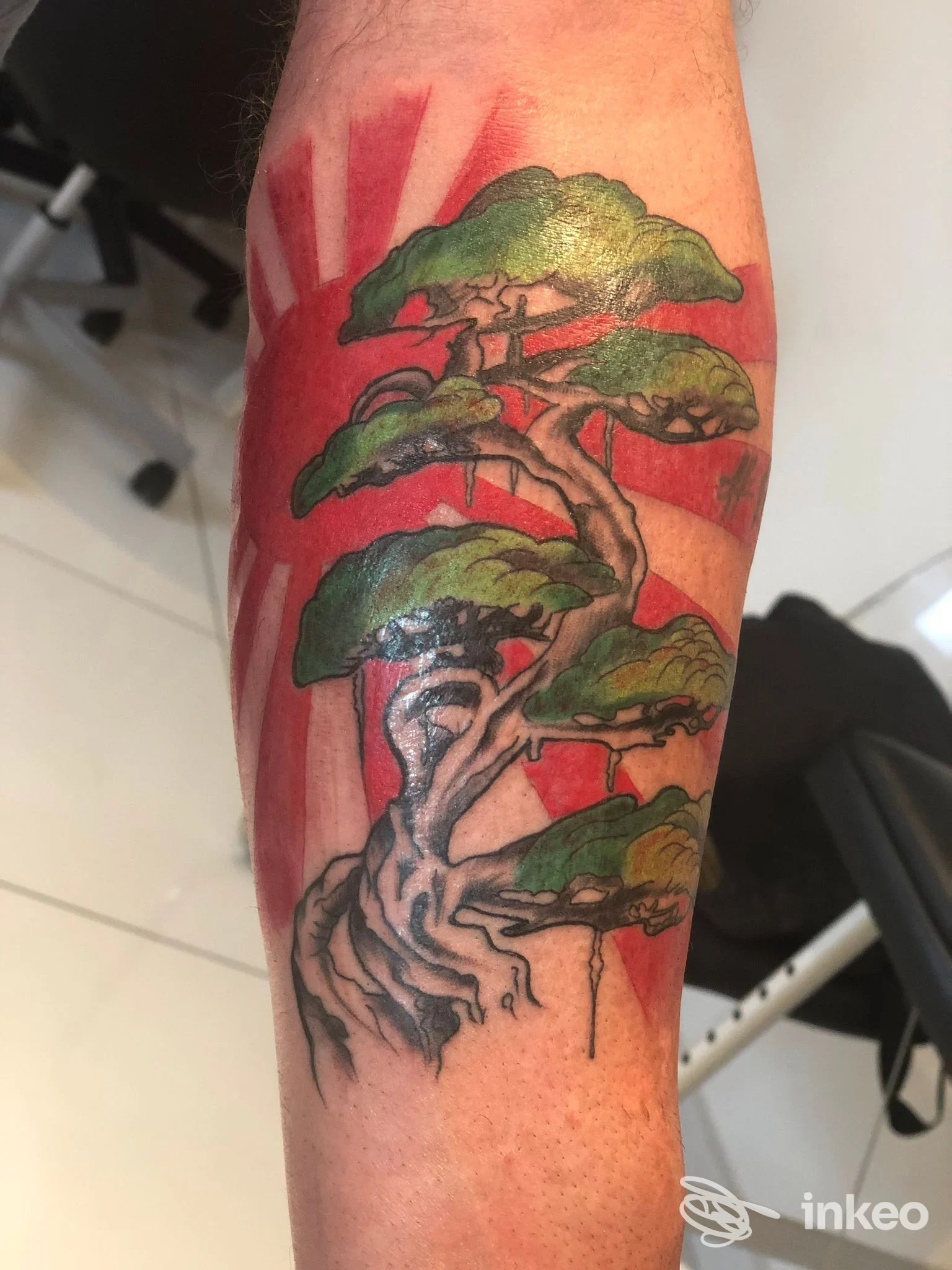 Tatuaggio bonsai con sfondo rosso sull'avambraccio, foto fornita da MODICA TATTOO INK, Modica.