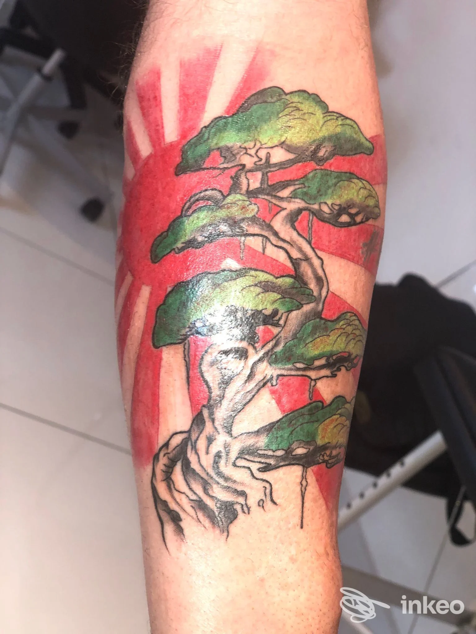 Tatuaggio su avambraccio con albero in verde e sfondo rosso, MODICA TATTOO INK, Modica.