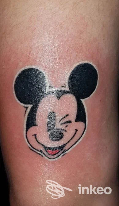 Tatuaggio a colori raffigurante la testa in stile cartoon su avambraccio, foto inviata da Maieutica studio di Yole tattoo art, Palermo.