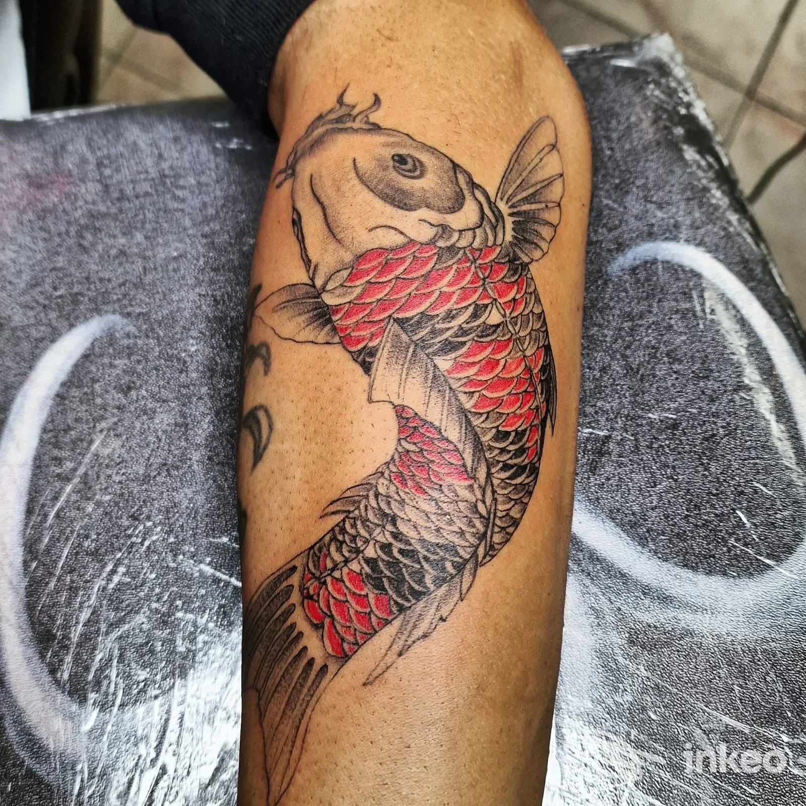 Tatuaggio a colori di una carpa (koi) sull'avambraccio, foto scattata in studio; Mammut Tattoo Srl, Siracusa.