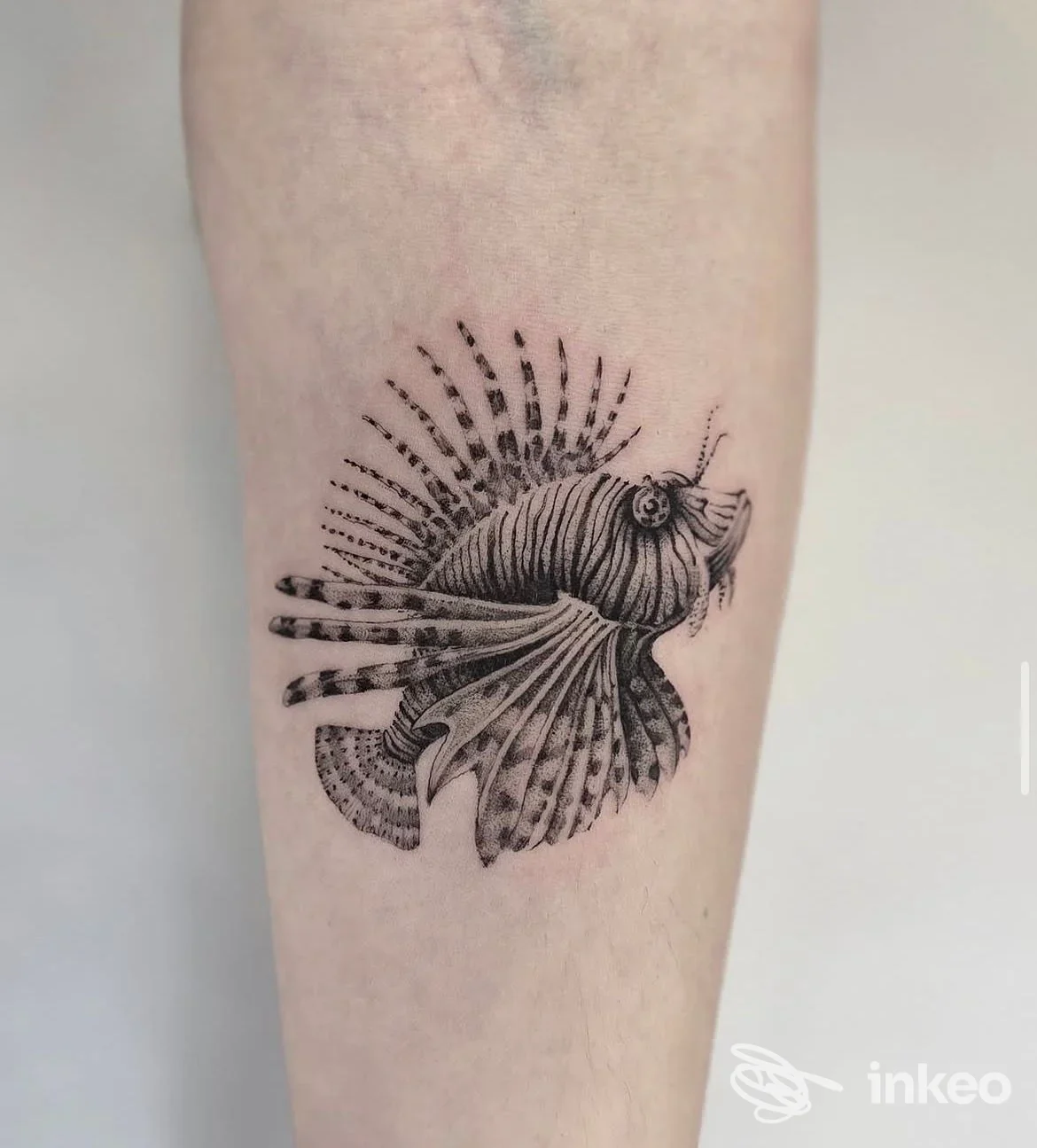 Tatuaggio in bianco e nero di un pesce scorpione sul lato interno dell'avambraccio, realizzato da Puto Amor Tattoo a Giardini-Naxos.