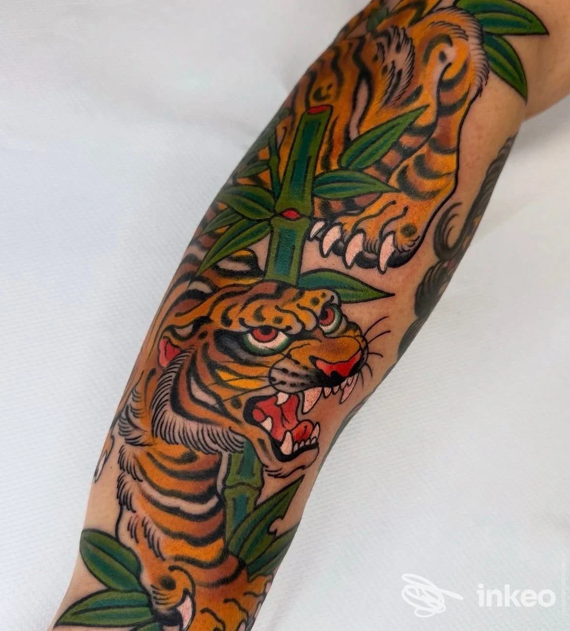Tatuaggio colore su avambraccio con tigre e bambù, foto per Puto Amor Tattoo a Giardini-Naxos.