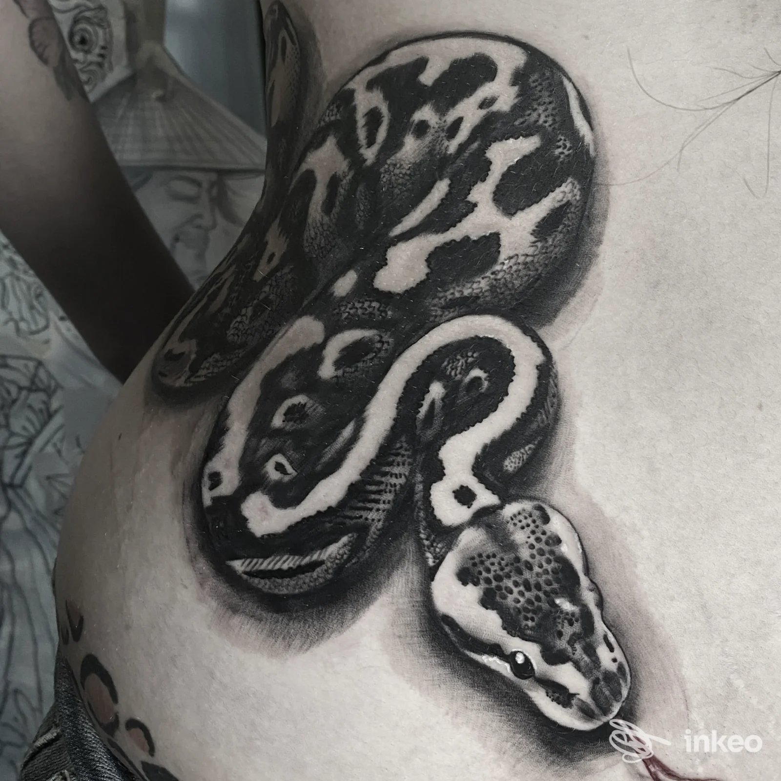 Tatuaggio di un serpente nero e sfumato sul fianco/addome, foto inviata da PirrOne Tattoo, Caltanissetta.