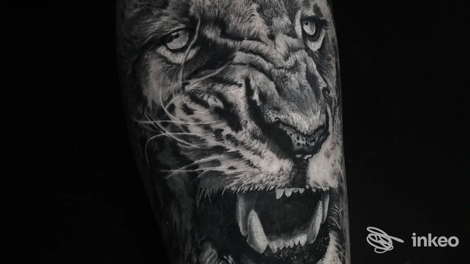 Dettaglio di tatuaggio realistico di tigre sull'avambraccio, realizzazione di PirrOne Tattoo a Caltanissetta.