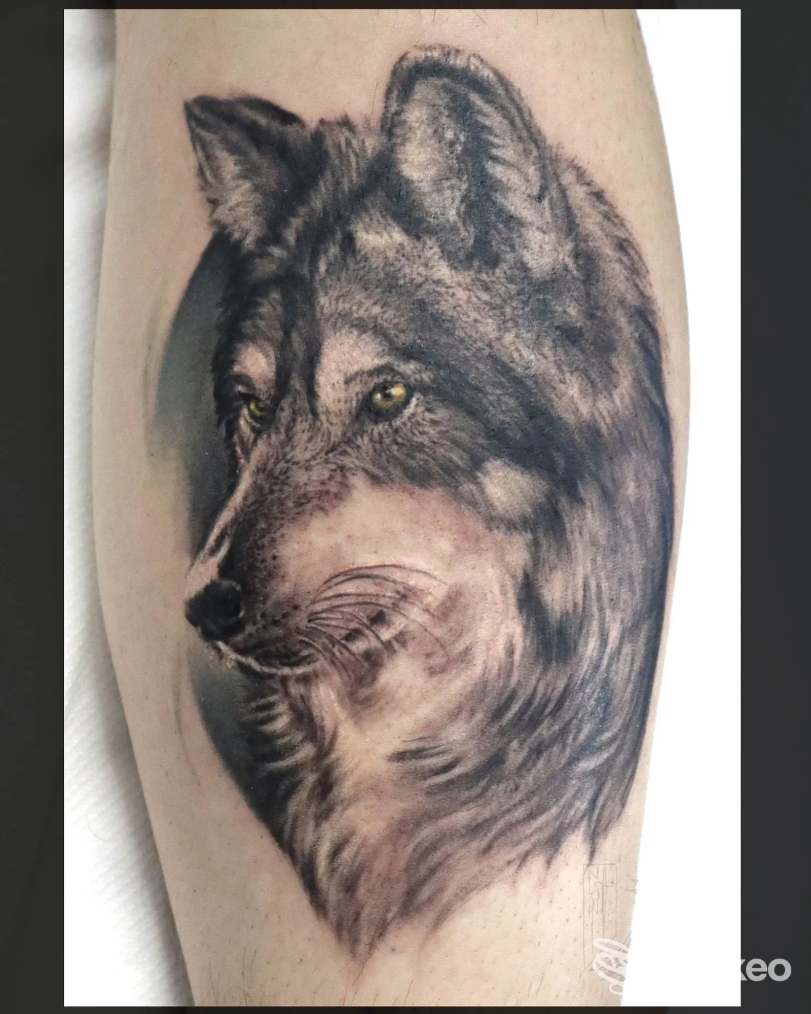 Tatuaggio realistico di un lupo sul polpaccio, dettaglio del pelo e degli occhi, immagine fornita da Secondapelle Tattoo, Ragusa.