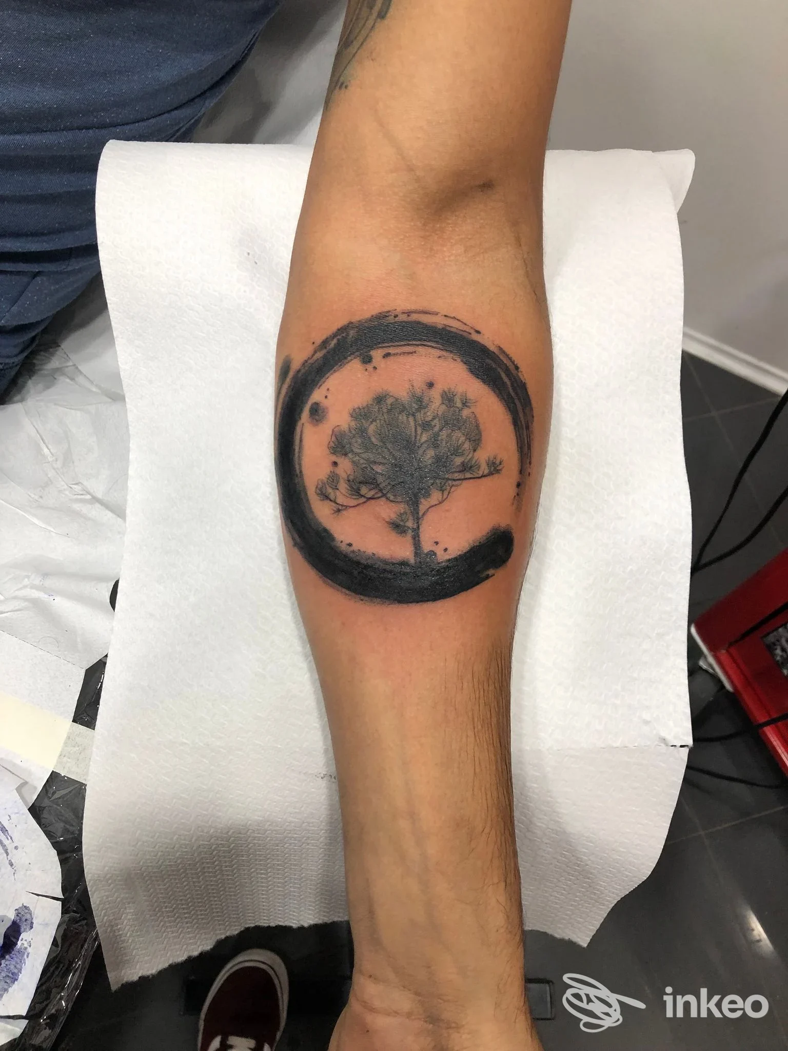 Tatuaggio a Palermo presso THE GOOD FELLAS TATTOO: cerchio a pennellata nera che racchiude un albero dettagliato sull'avambraccio.