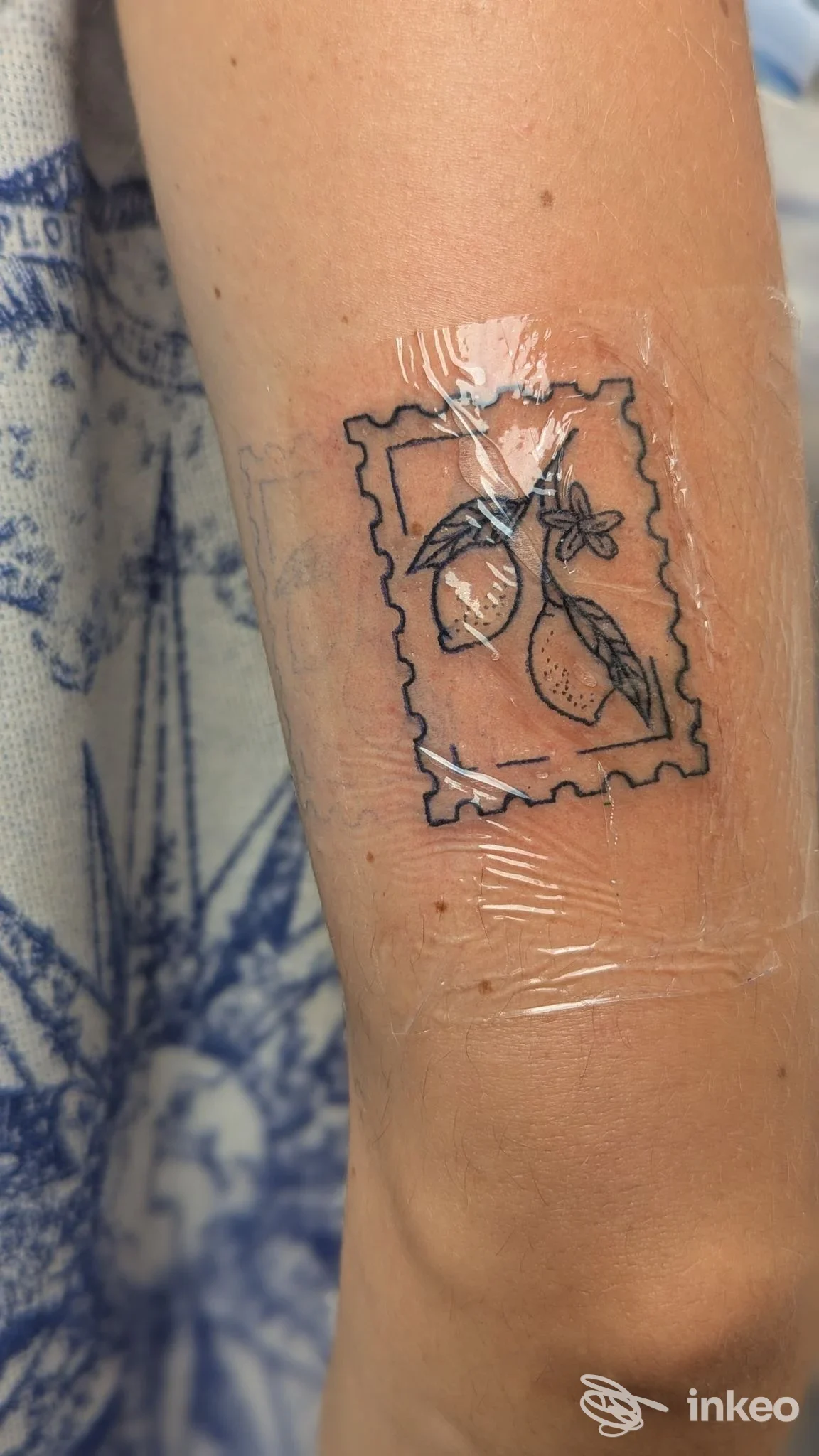 Tatuaggio linework di limoni in cornice tipo francobollo sull'avambraccio, avvolto in pellicola trasparente — The Travellers Tattoo, Catania.