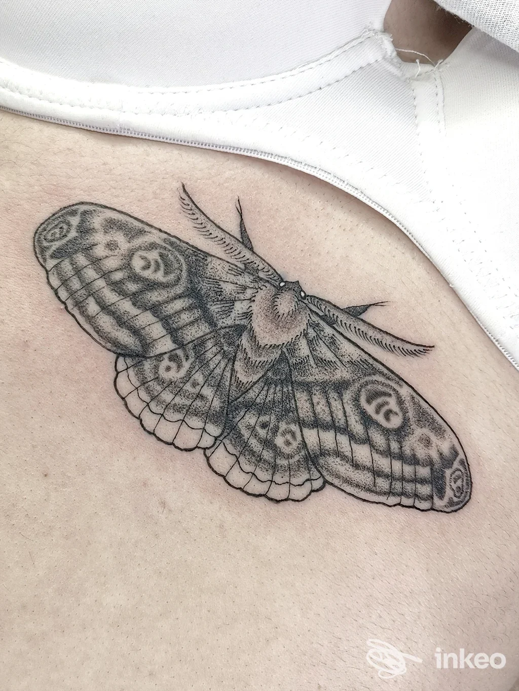 Tatuaggio a farfalla/falena in bianco e nero sul petto, lavoro in dotwork/blackwork realizzato da The King Tattoo Studio, Messina.