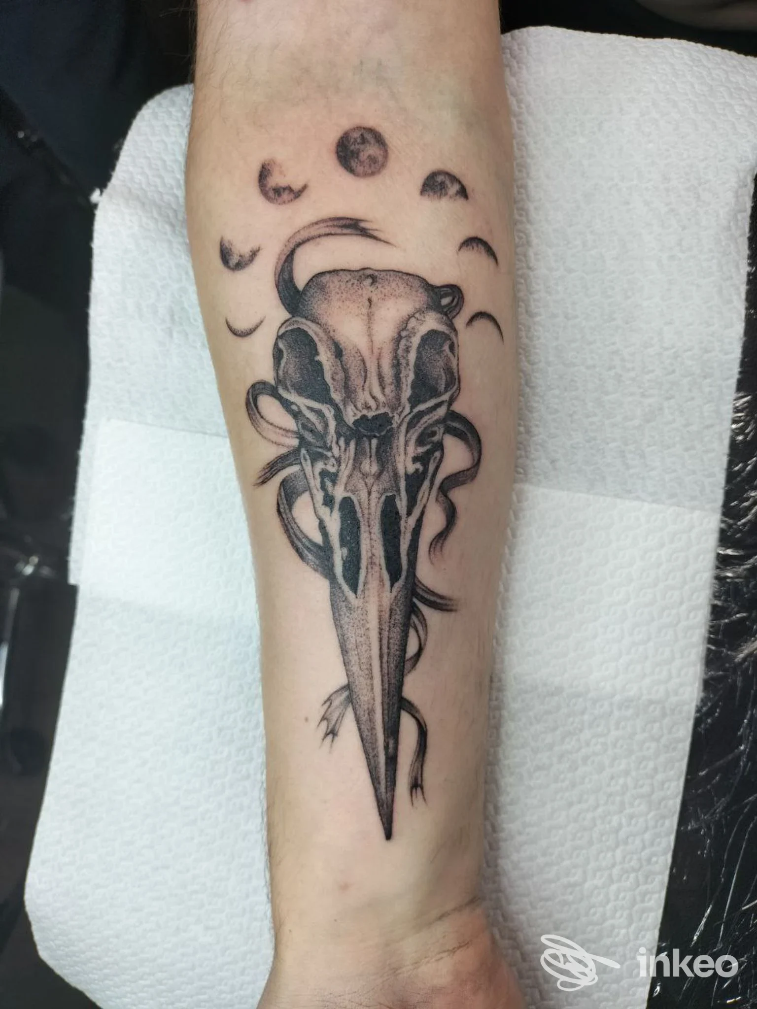 Tatuaggio su avambraccio con teschio di uccello e fasi lunari, realizzato da The King Tattoo Studio a Messina.