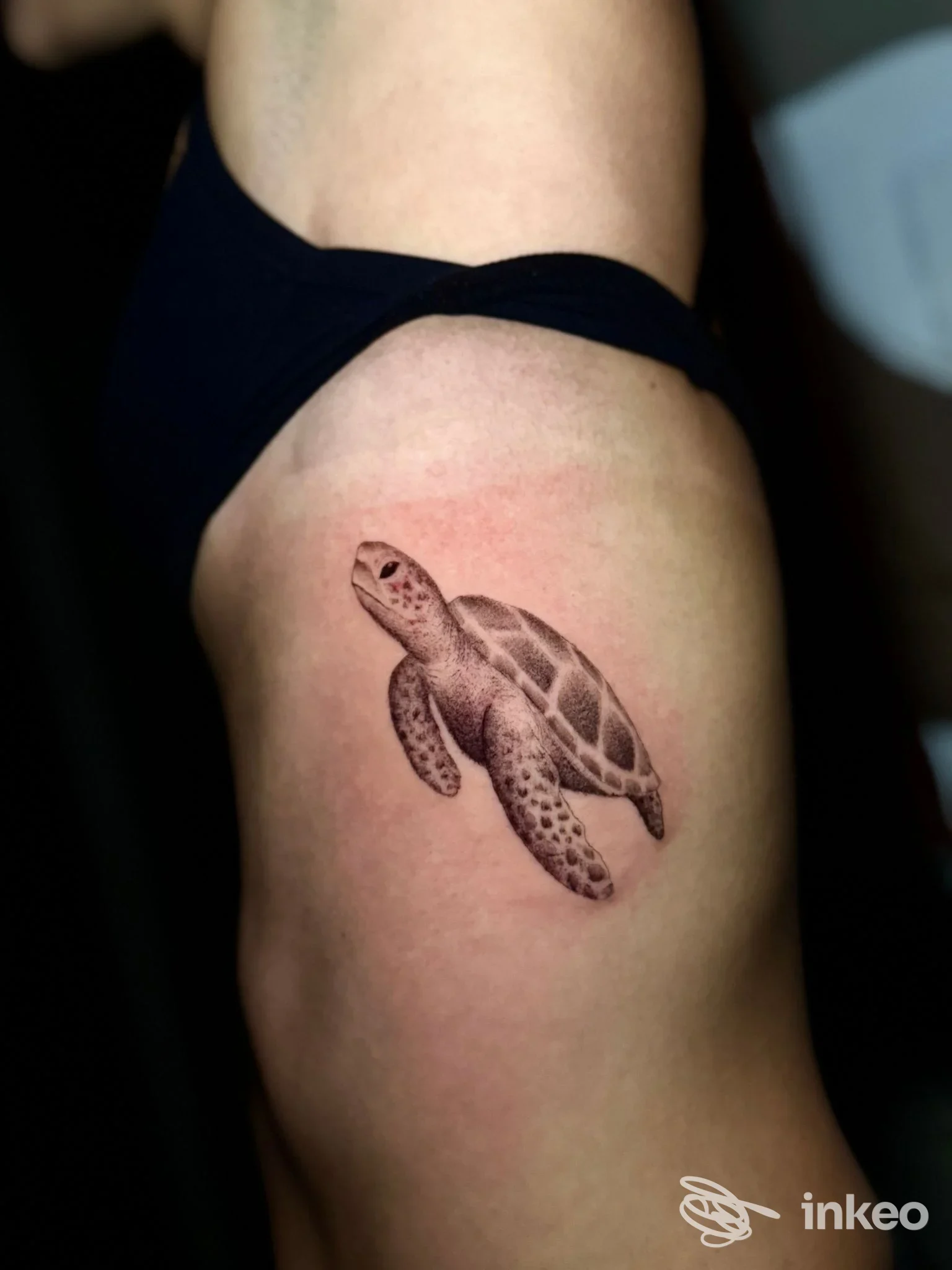 Tatuaggio di una tartaruga in bianco e nero sul fianco superiore, TATTOOGARAGE Trapani.