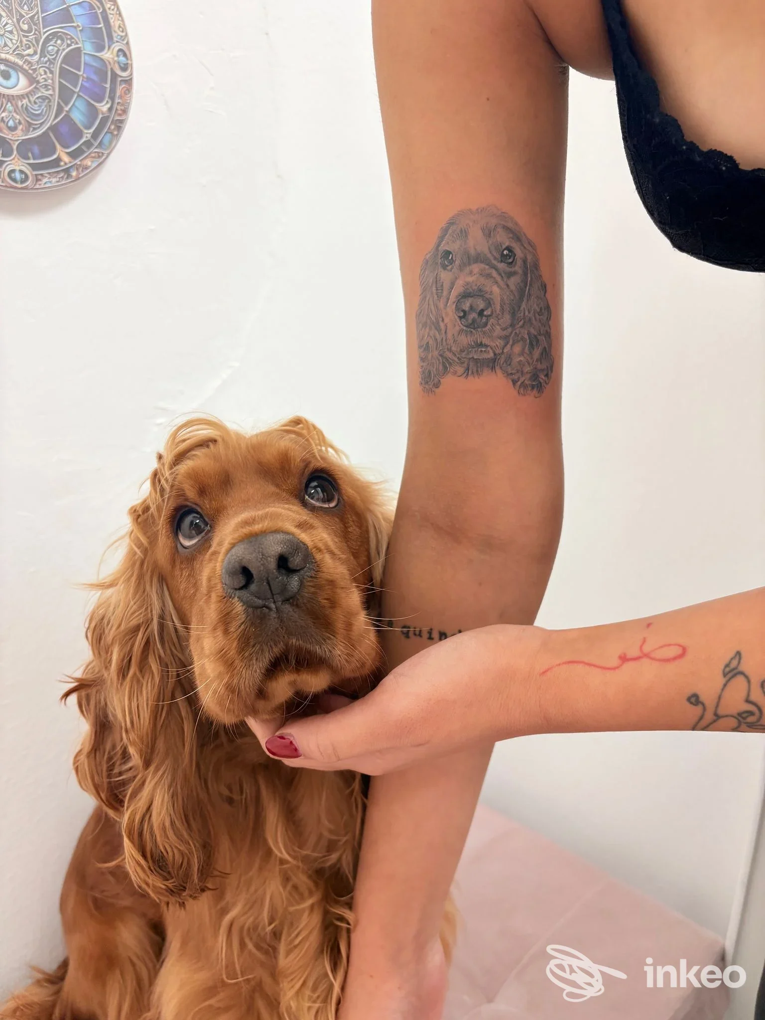 Tatuaggio realistico del muso di un cane sul braccio superiore, con il cane vero in primo piano. GRETATTOO, Figline e Incisa Valdarno.
