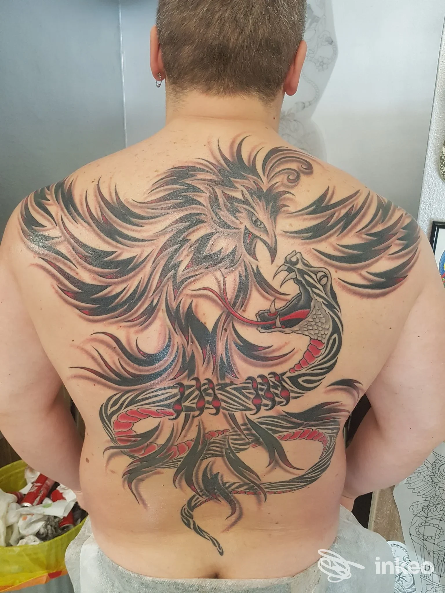 Grande tatuaggio a tutta schiena con uccello stilizzato e serpente, fotografia inviata da Gianni Tattoo Studio, Rosignano Solvay-Castiglioncello.