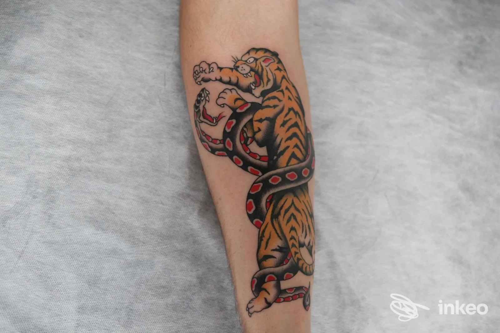 Dettaglio di tatuaggio su avambraccio con una tigre arancione avvolta da un serpente nero e rosso, realizzato presso INKSPIRITO TATTOO ad Arezzo.