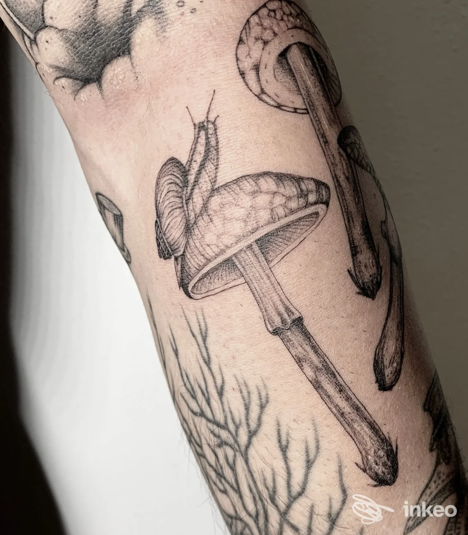 Tatuaggi in bianco e nero con funghi e motivi botanici sull'avambraccio, IKONOCLASTA Tattoo Art Factory, Firenze.