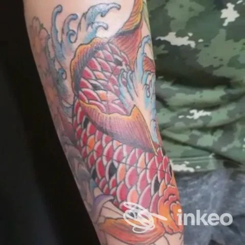 Primo piano di un avambraccio con un grande tatuaggio a carpa koi colorata, foto fornita da La Sartoria Tattoo, Colle di Val d'Elsa.