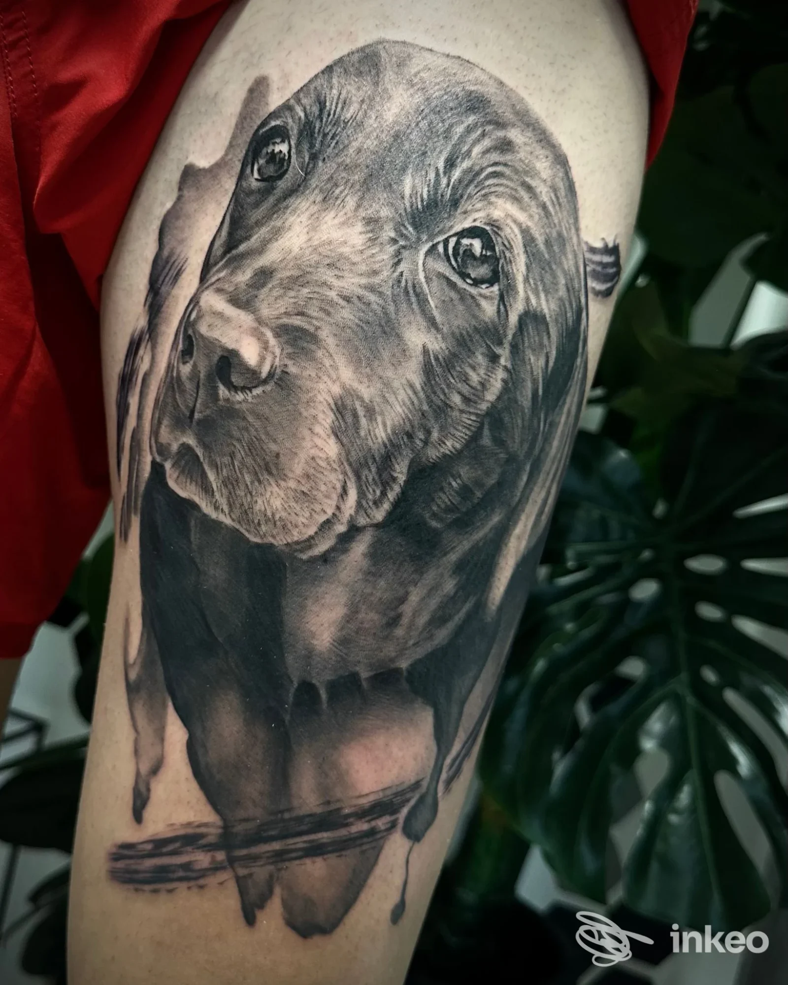 Tatuaggio realistico in bianco e nero del muso di un cane sul braccio, opera di Laura Dervishi Tattoo a Massa, dettagli fini e ombreggiature.