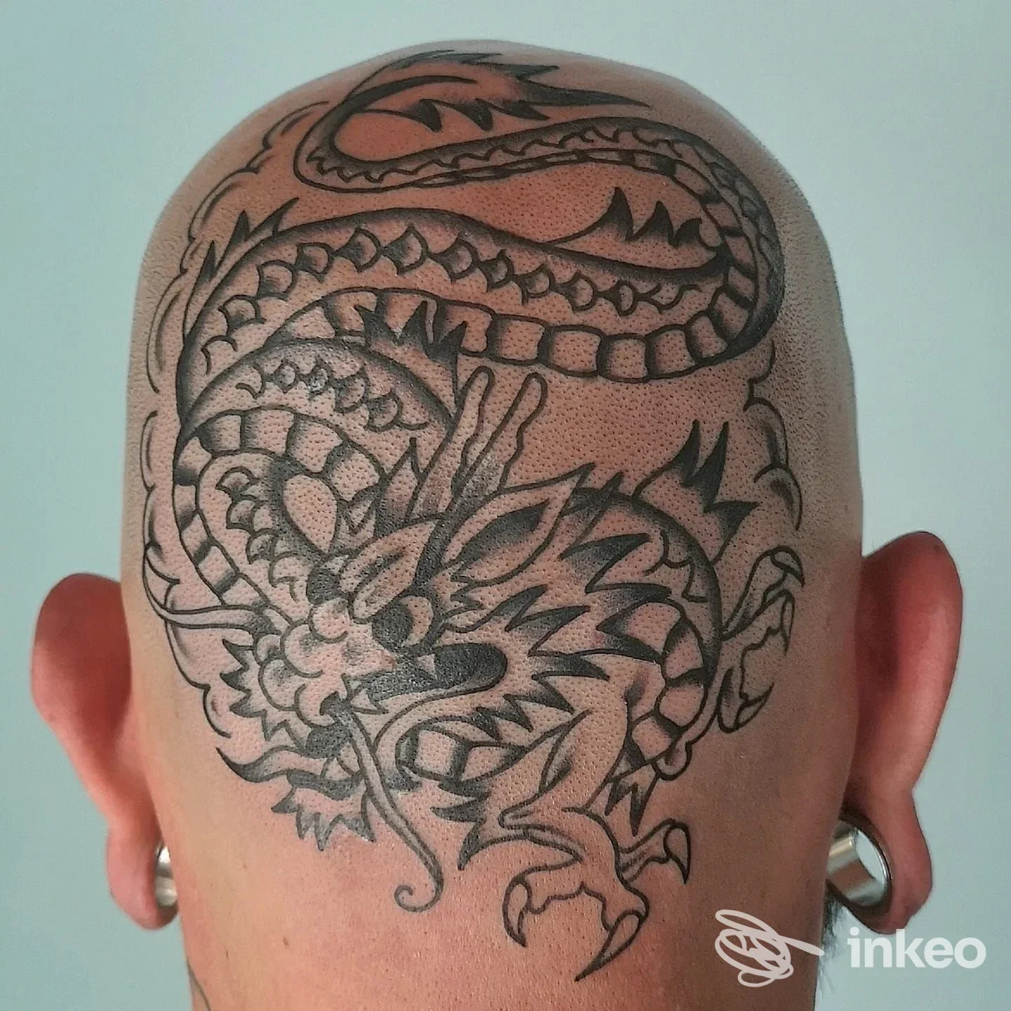 Ampio tatuaggio a forma di drago sulla nuca e la sommità del capo rasato, eseguito da Love Buzz Tattoo & Shop a Pietrasanta.
