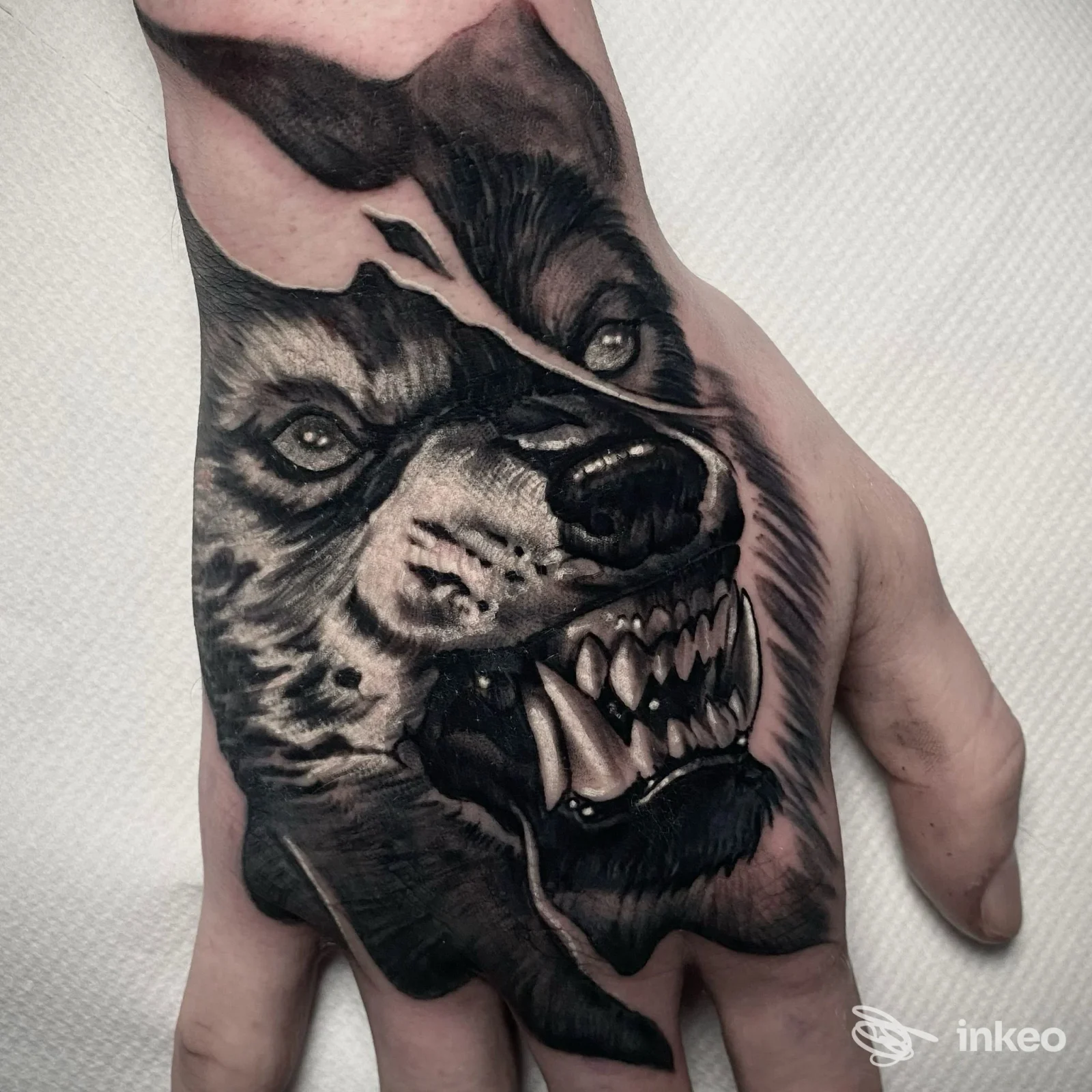 Tatuaggio black & grey di un muso di lupo ringhiante sul dorso della mano, opera realizzata da Mano Viva Tattoo Club, Firenze.