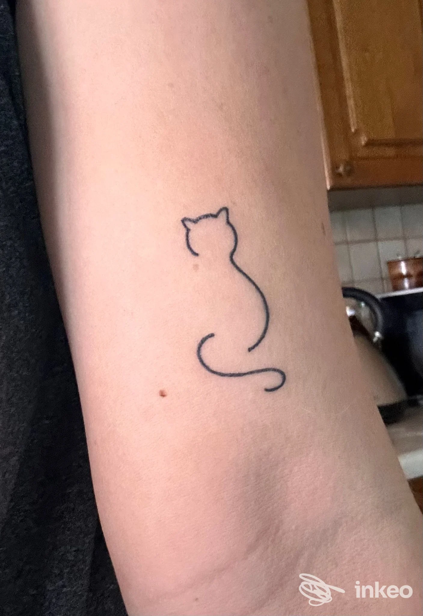 Tatuaggio minimal di un gatto stilizzato sul braccio interno, immagine fornita da Modern Tattooing Lucca, Lucca.