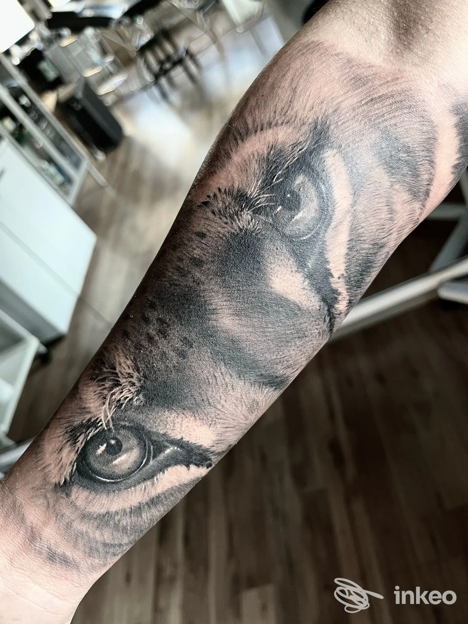 Tatuaggio realistico in bianco e nero con occhi di animale sull'avambraccio, Nocturno Tattoo, Cecina.