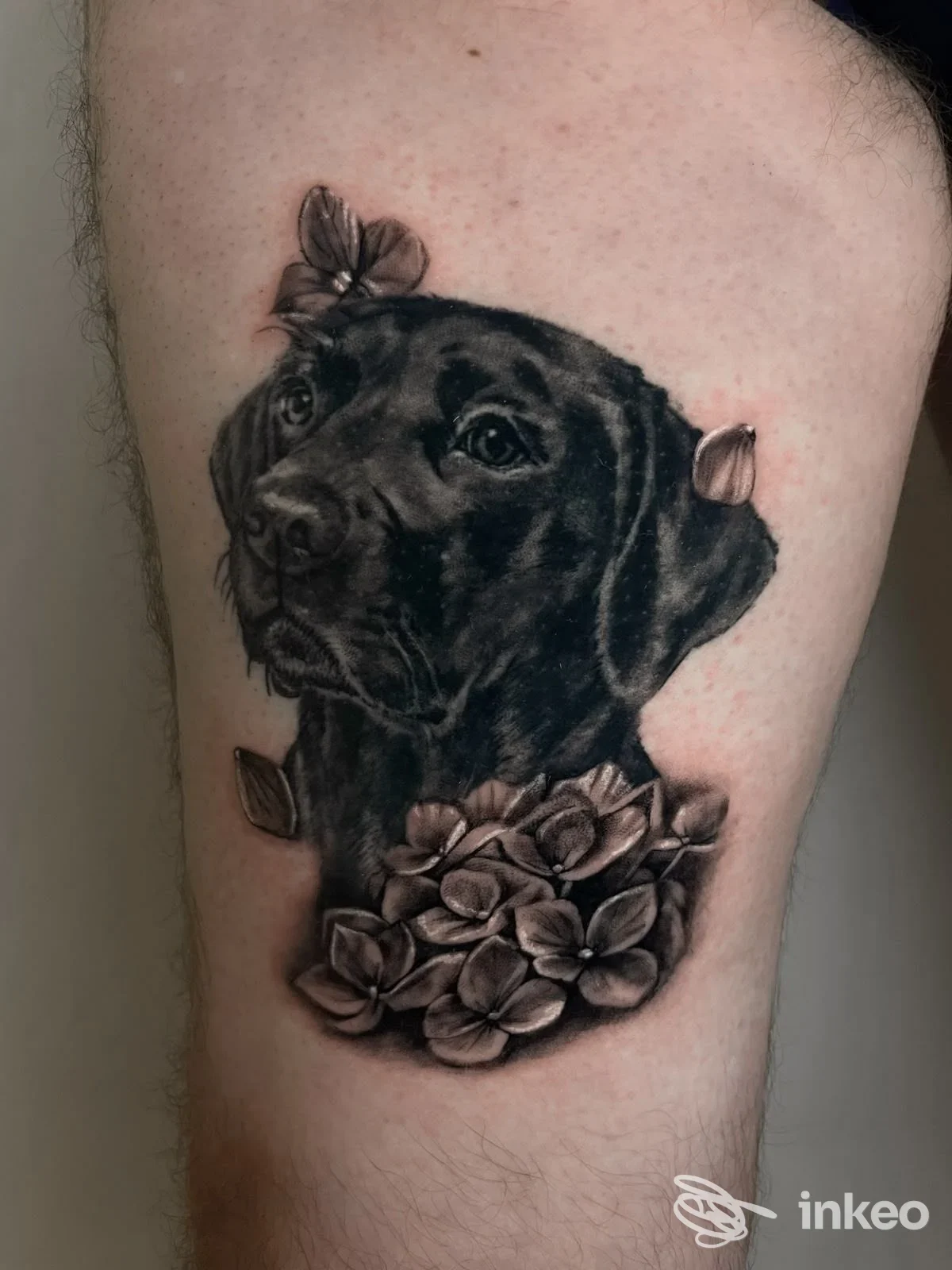 Tatuaggio realistico in nero e grigio di un ritratto di cane con fiori, realizzato da Nikynk tattoo studio a Grassina.