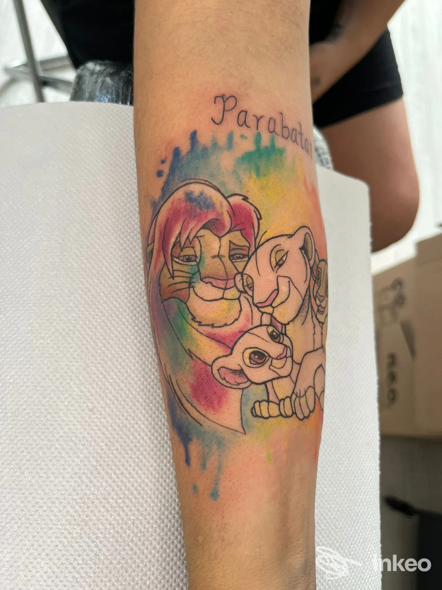 Tatuaggio a colori sul avambraccio con soggetti in stile cartoon, foto fornita da Octopussy Ink TATTOO STUDIO, Pisa.