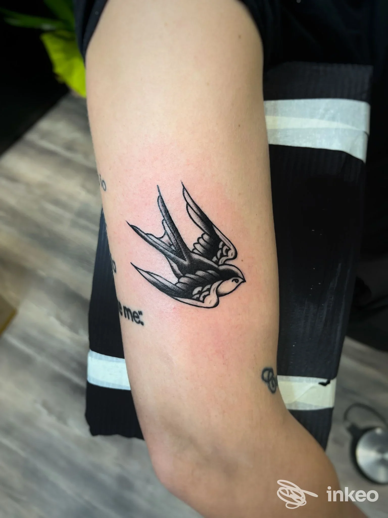 Tatuaggio di rondine in stile tradizionale sull'avambraccio, scattato da Officina 95 tattoo studio a Castelfranco Piandiscò.