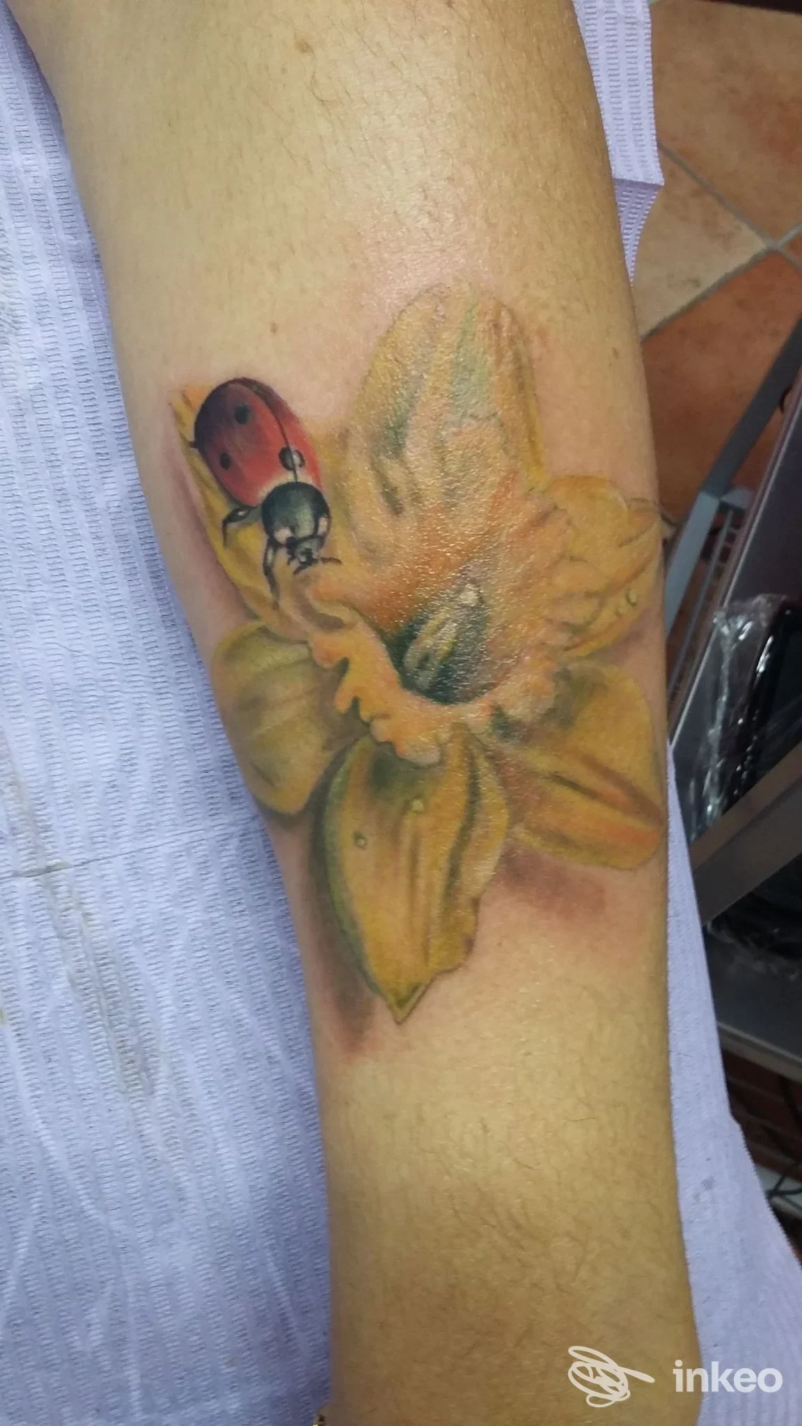 Tatuaggio floreale realistico con coccinella su avambraccio, dettaglio a colori realizzato da Sara D Tattoo Studio a Pontedera.