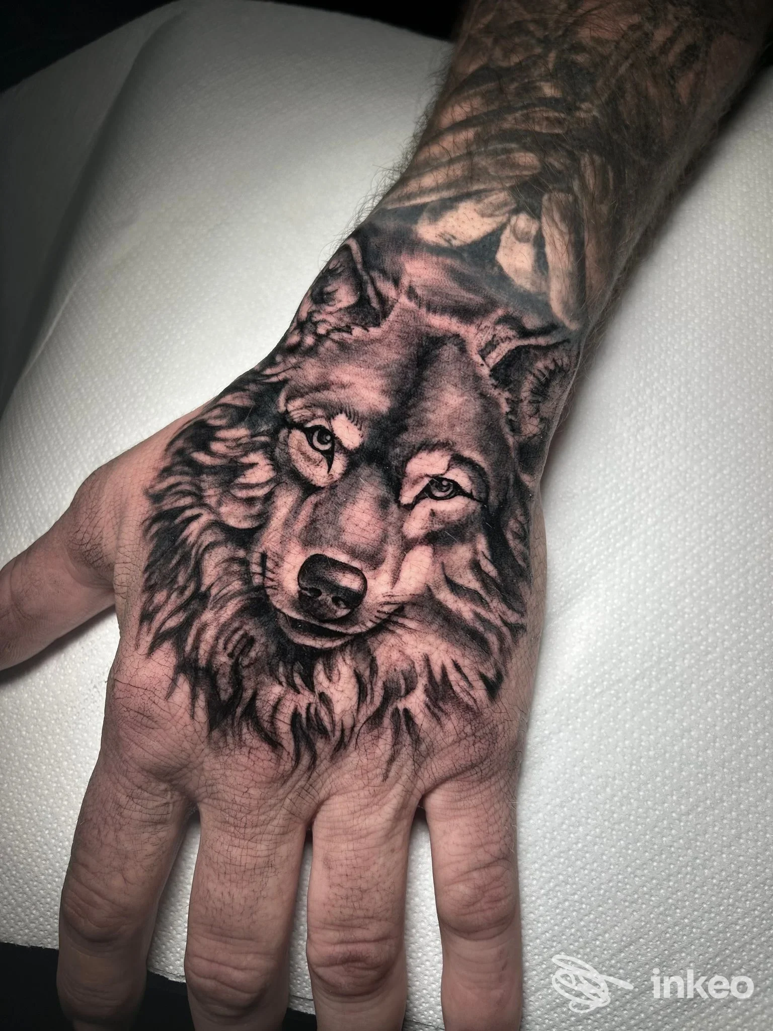 Tatuaggio realistico di un lupo sul dorso della mano, foto inviata da Scribble Tattoo a Lucca.