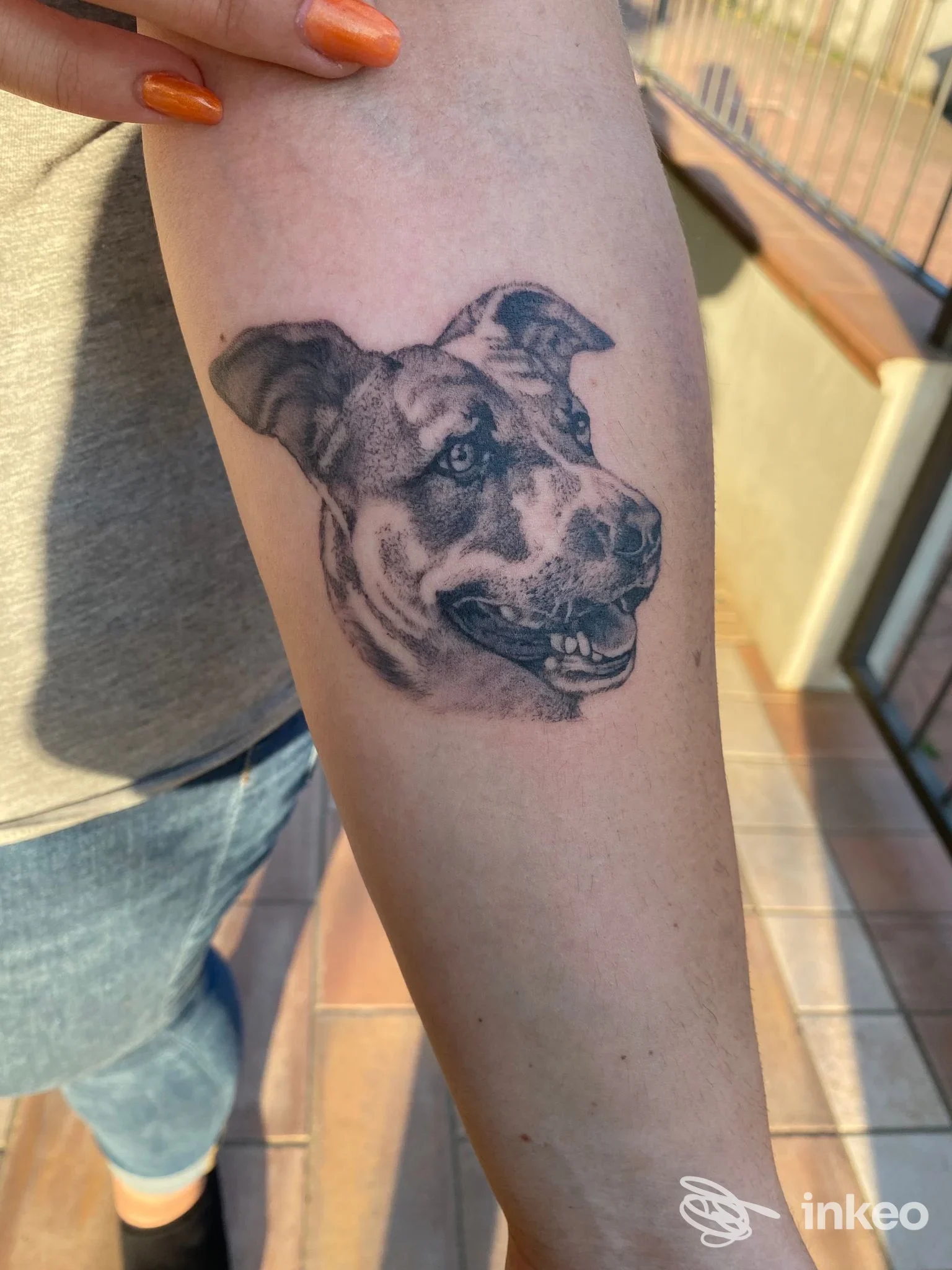 Tatuaggio realistico di testa di cane su avambraccio, in bianco e nero, visibile pelle reale.
